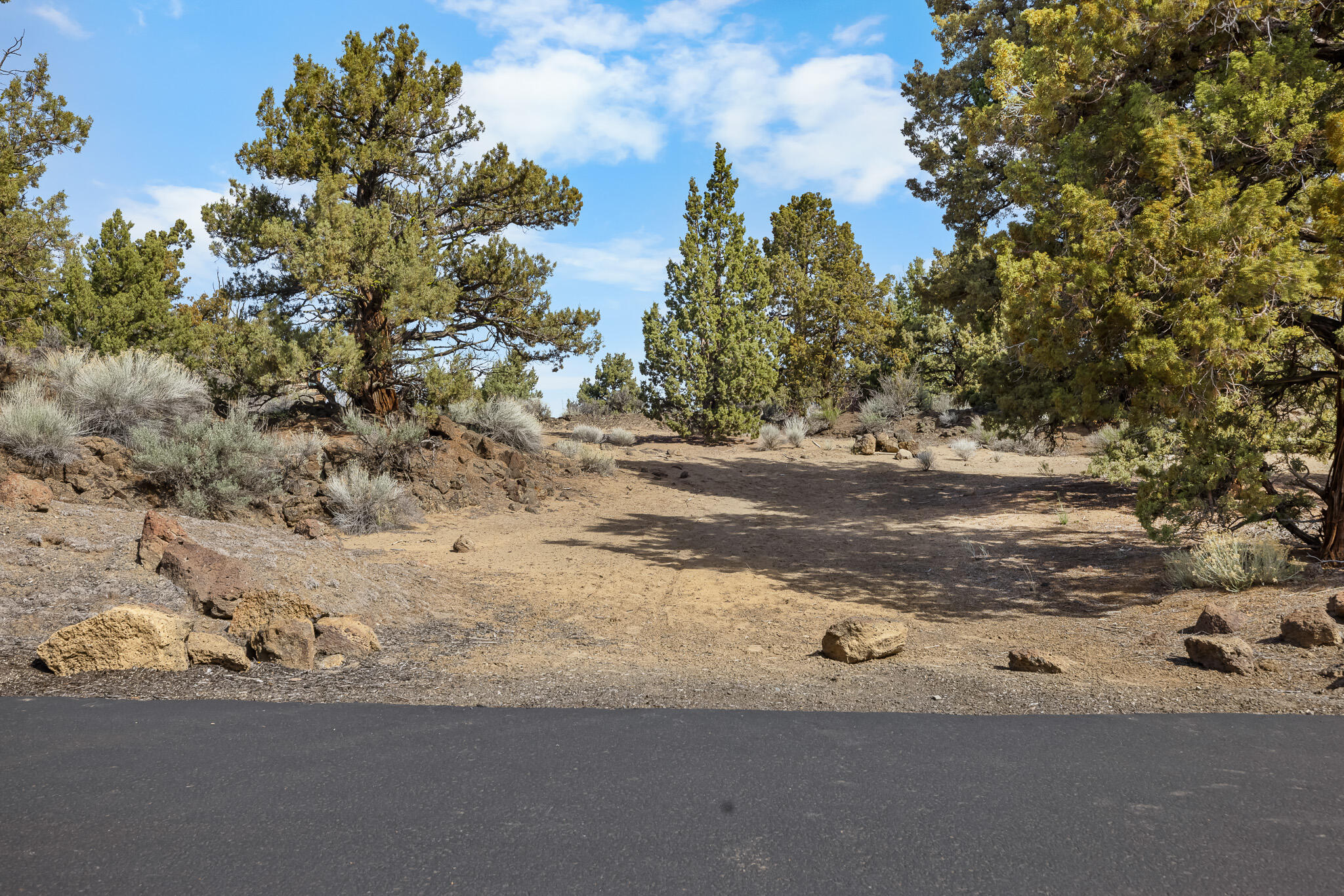 Pronghorn - Land