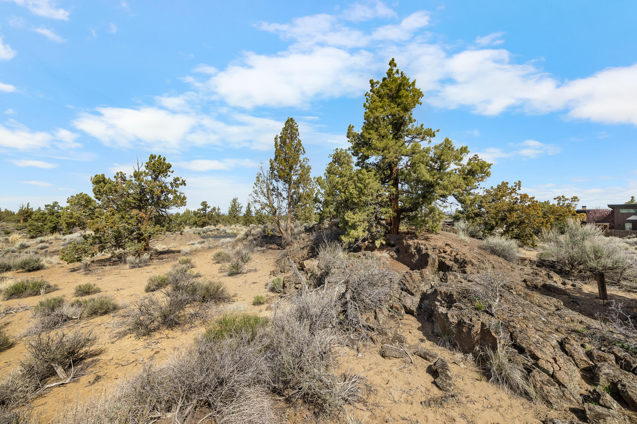 Pronghorn - Land