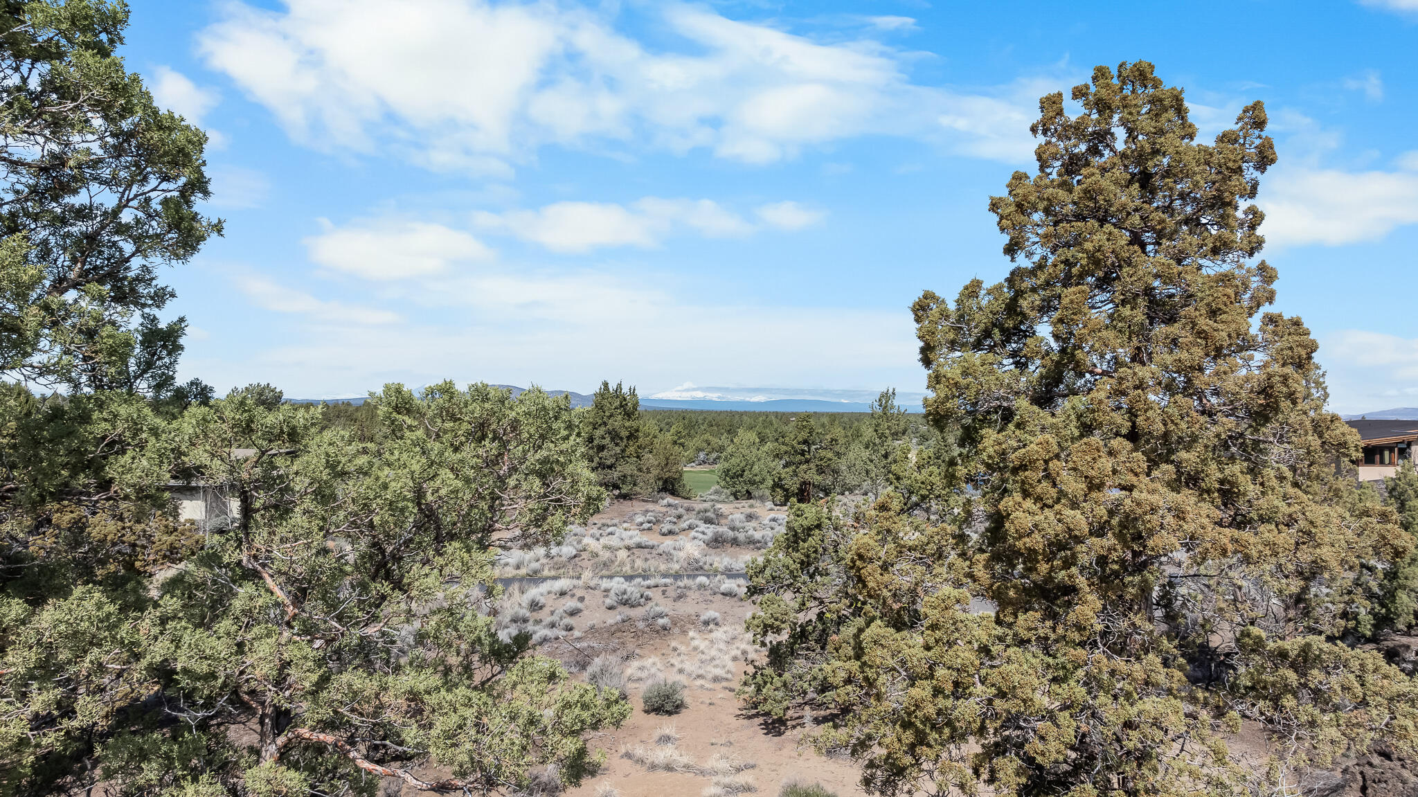 Pronghorn - Land