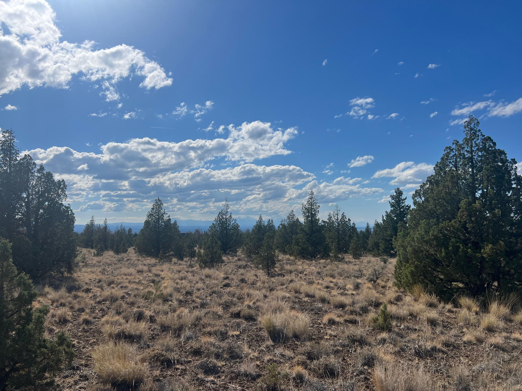 Juniper Acres - Land