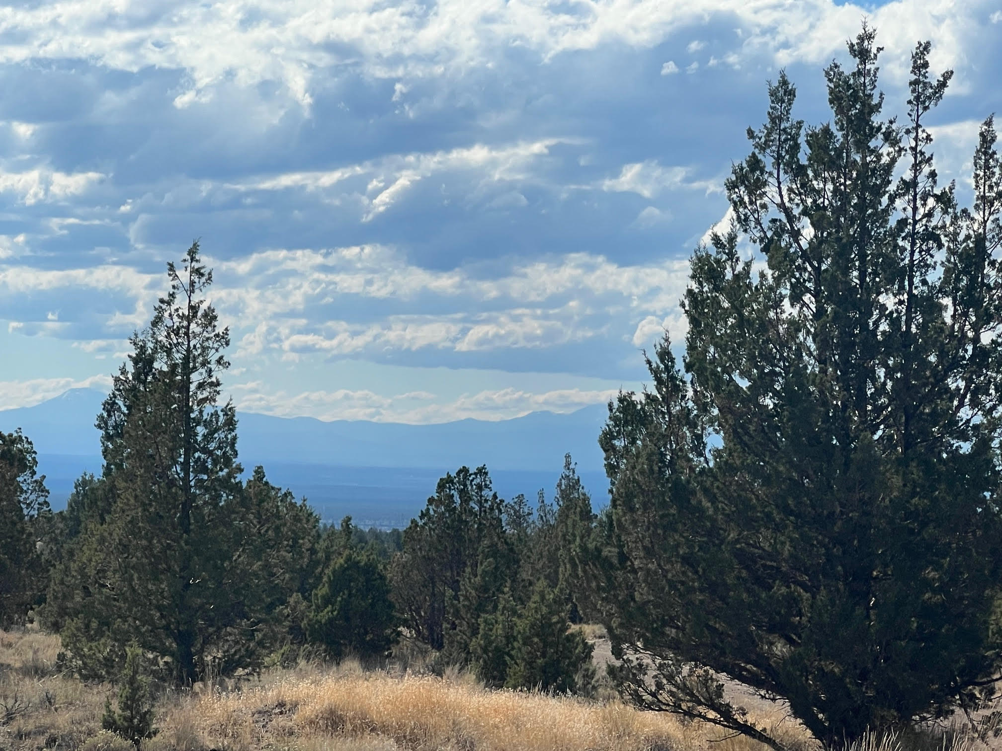Juniper Acres - Land