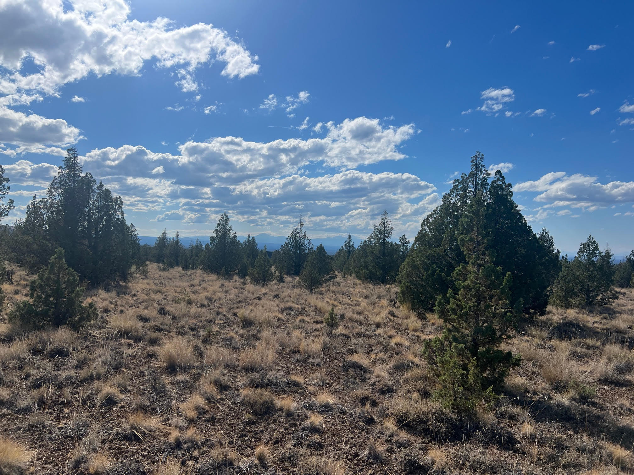 Juniper Acres - Land