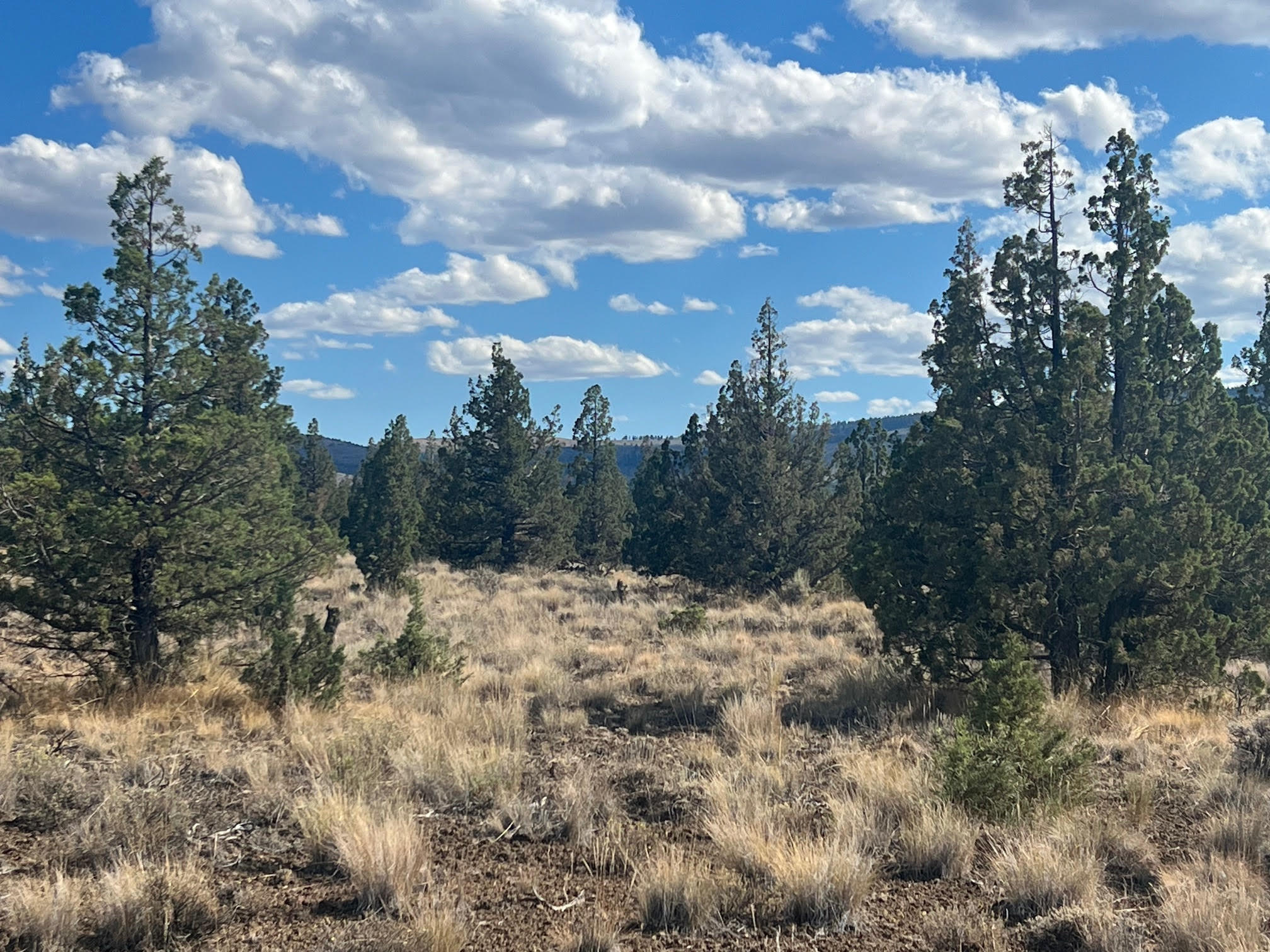 Beautiful Cascade Mountain views from your own private 10 acre recreation property!
Close to the Prineville Reservoir and the OHV trails with thousands of acres to enjoy. Go horseback riding, take out your off-road vehicle, strap on your hiking boots, or just
enjoy the endless privacy. Short distance to Prineville and Redmond for grocery shopping, hospitals, and gasoline. Property is off-grid, so its your way to escape the daily
grind and enjoy peace and quiet. Contact listing agent for more area maps or directions.