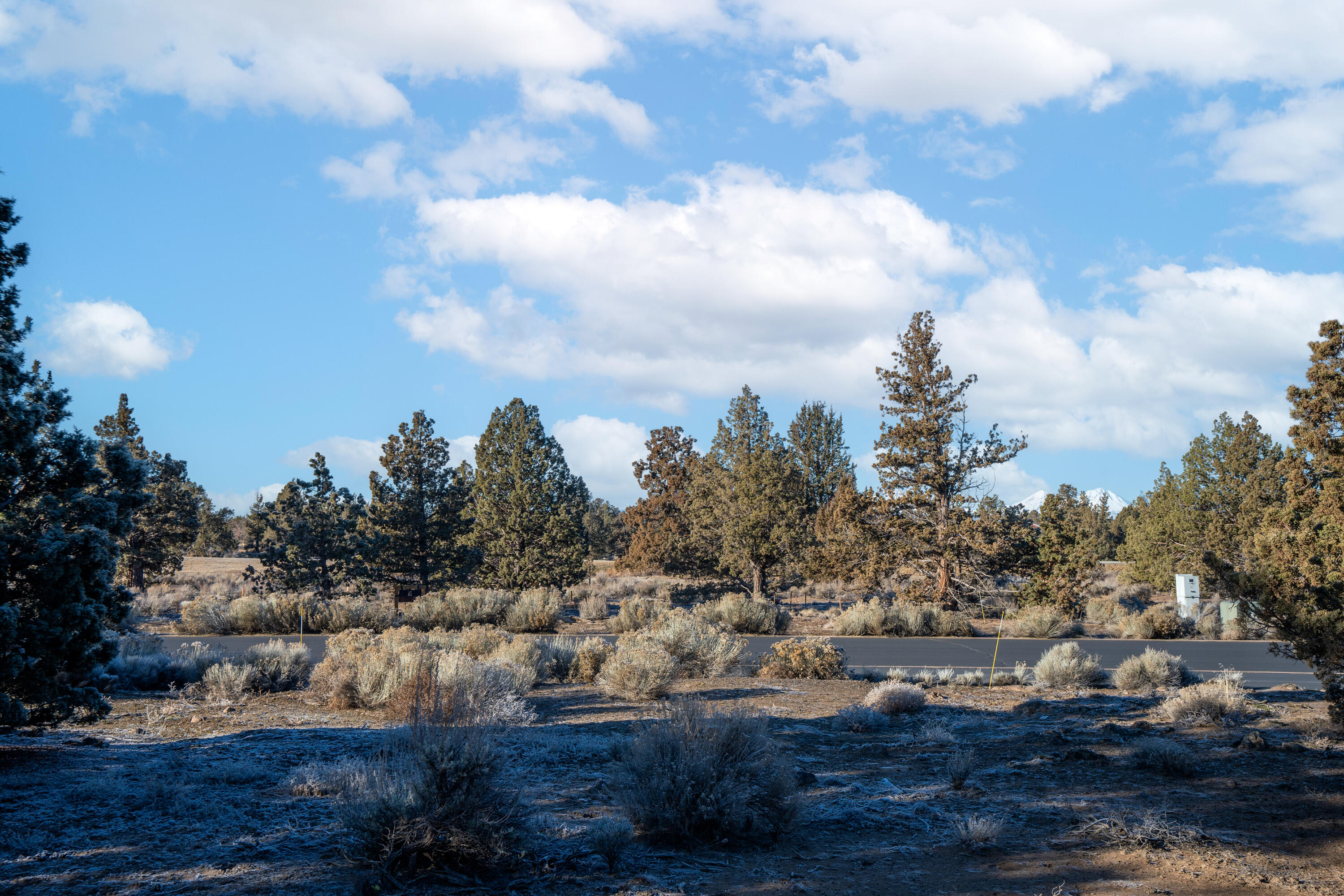 Pronghorn - Land
