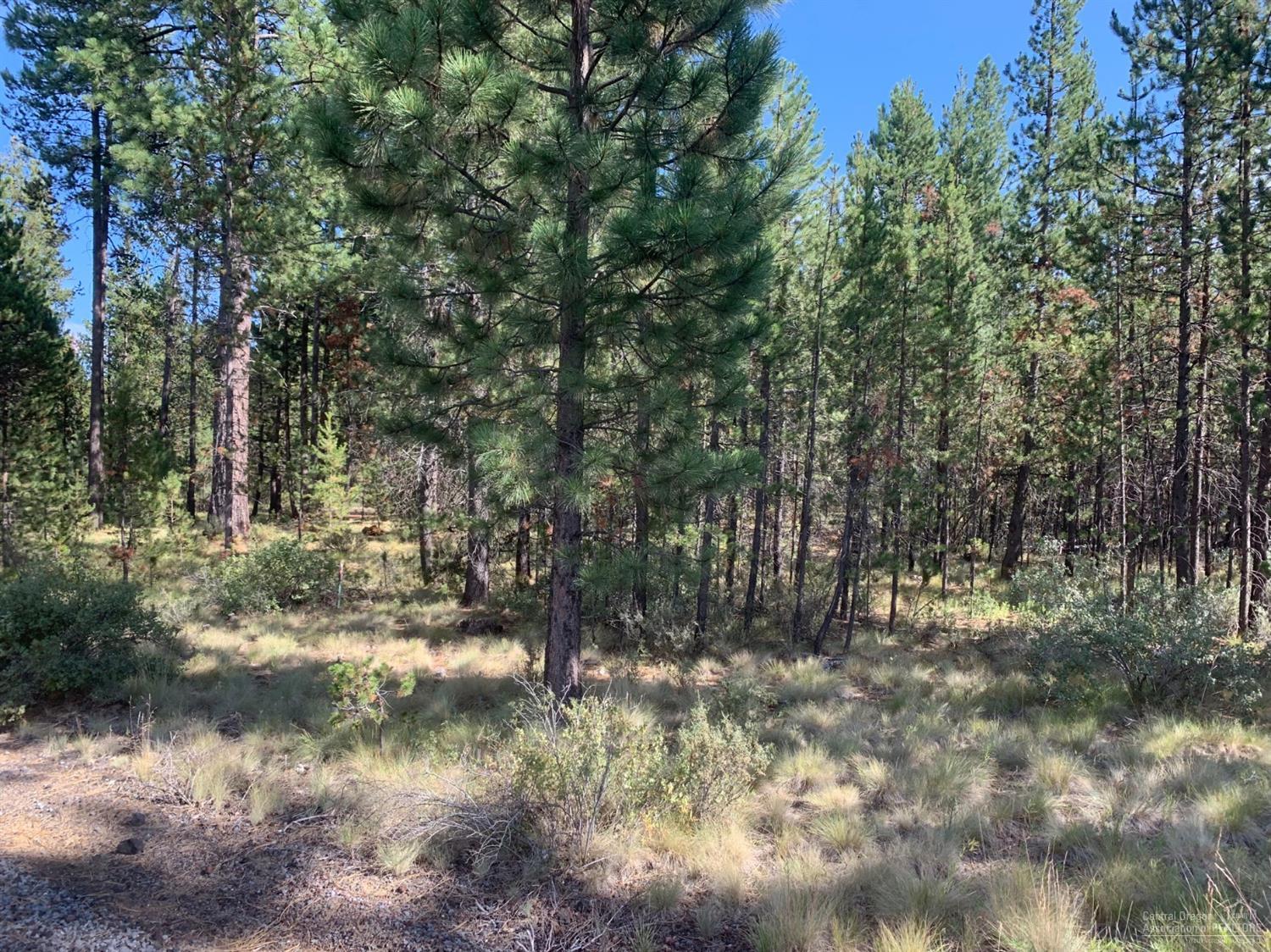 Spring River Acres - Land