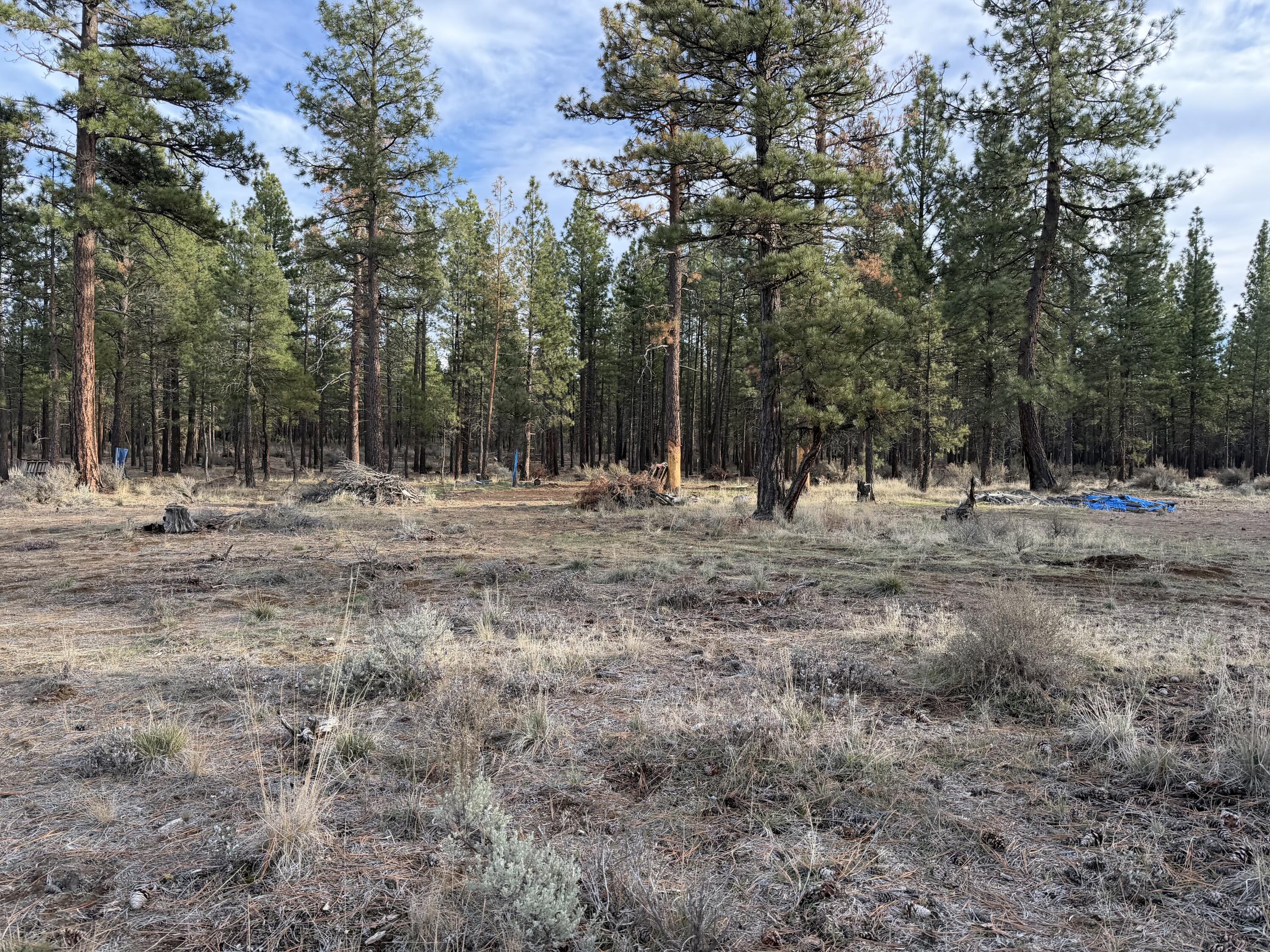 Klamath Forest Estates -First Addition - Land