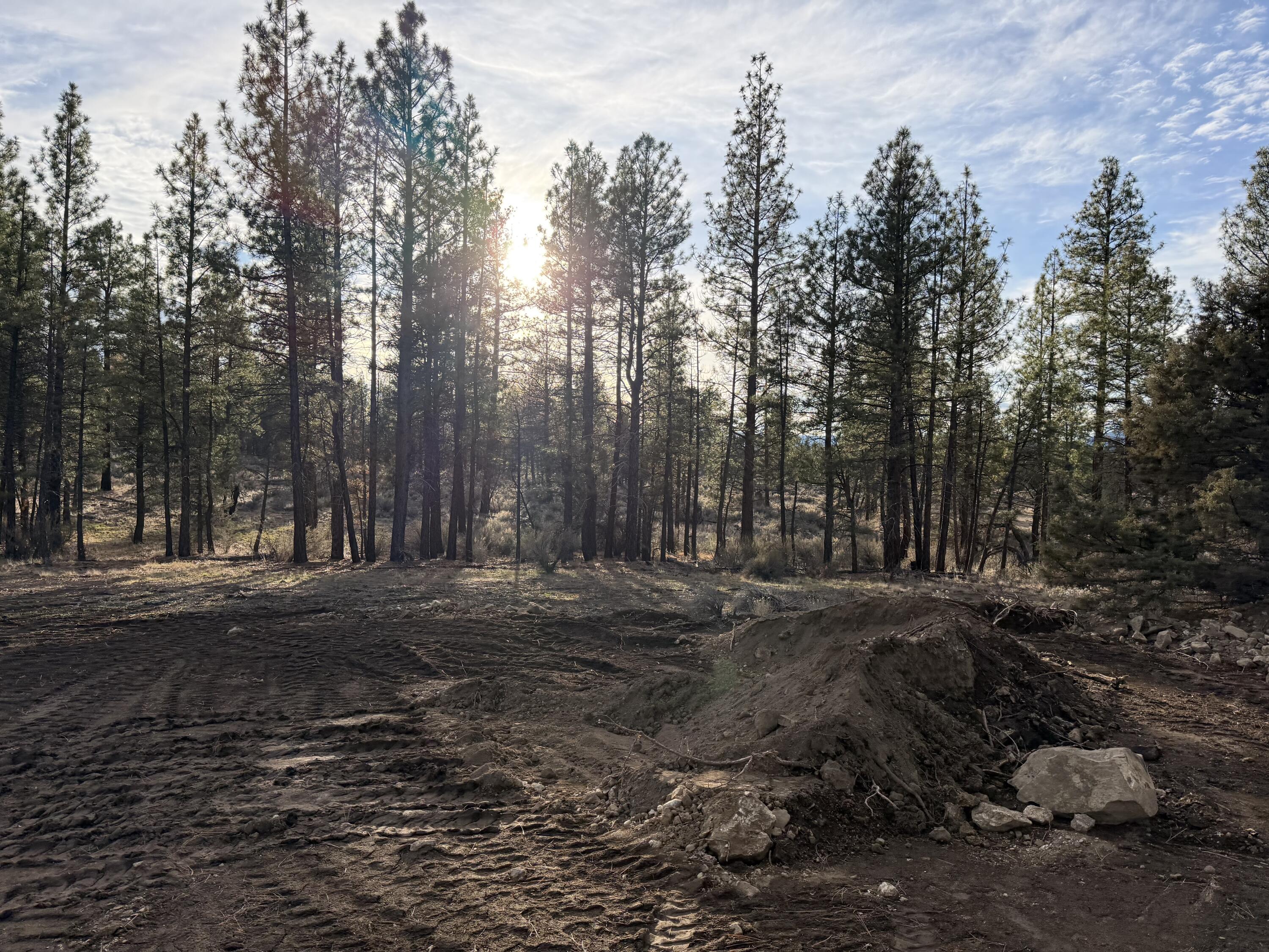Klamath Forest Estates -First Addition - Land
