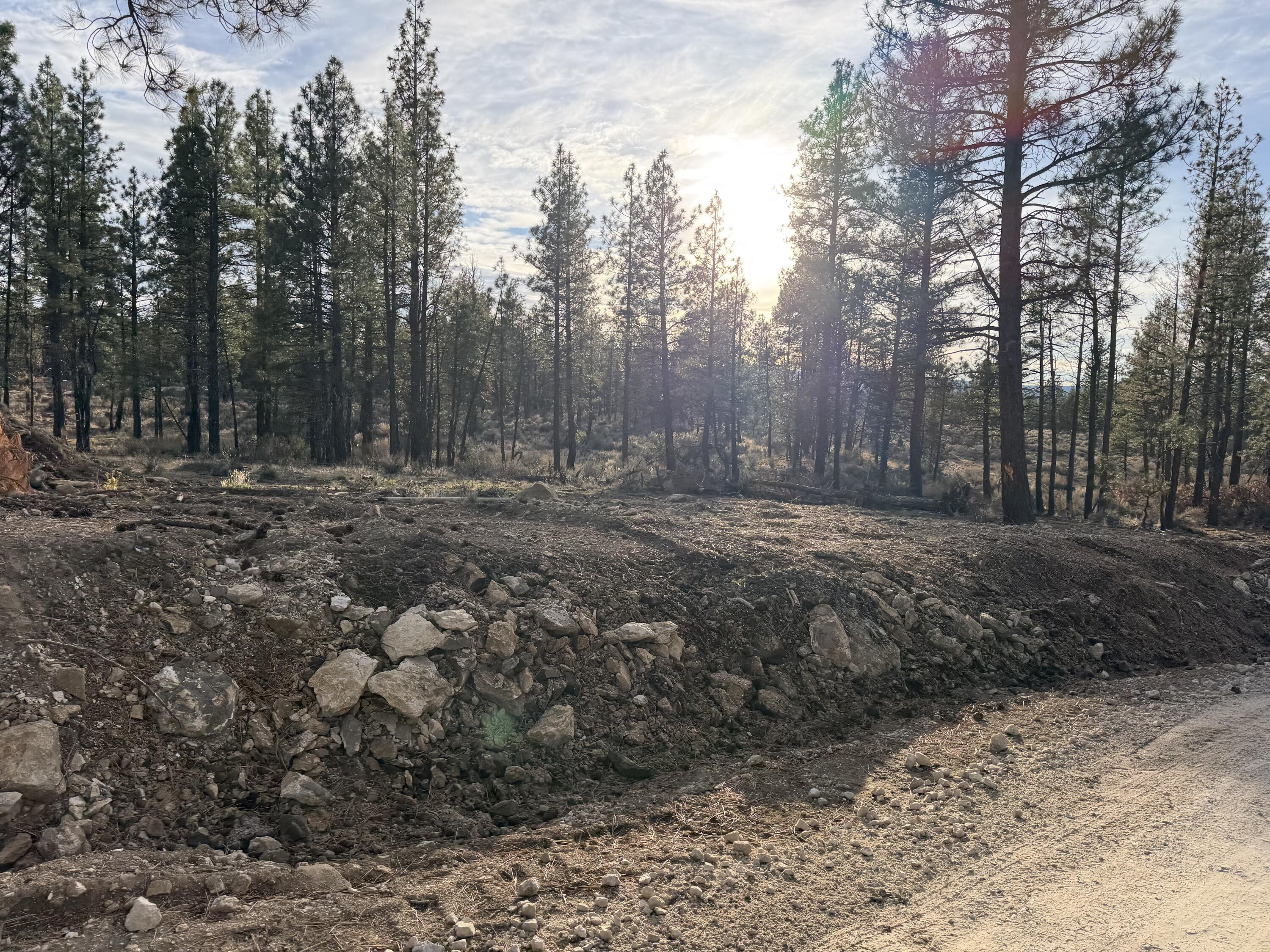 Klamath Forest Estates -First Addition - Land