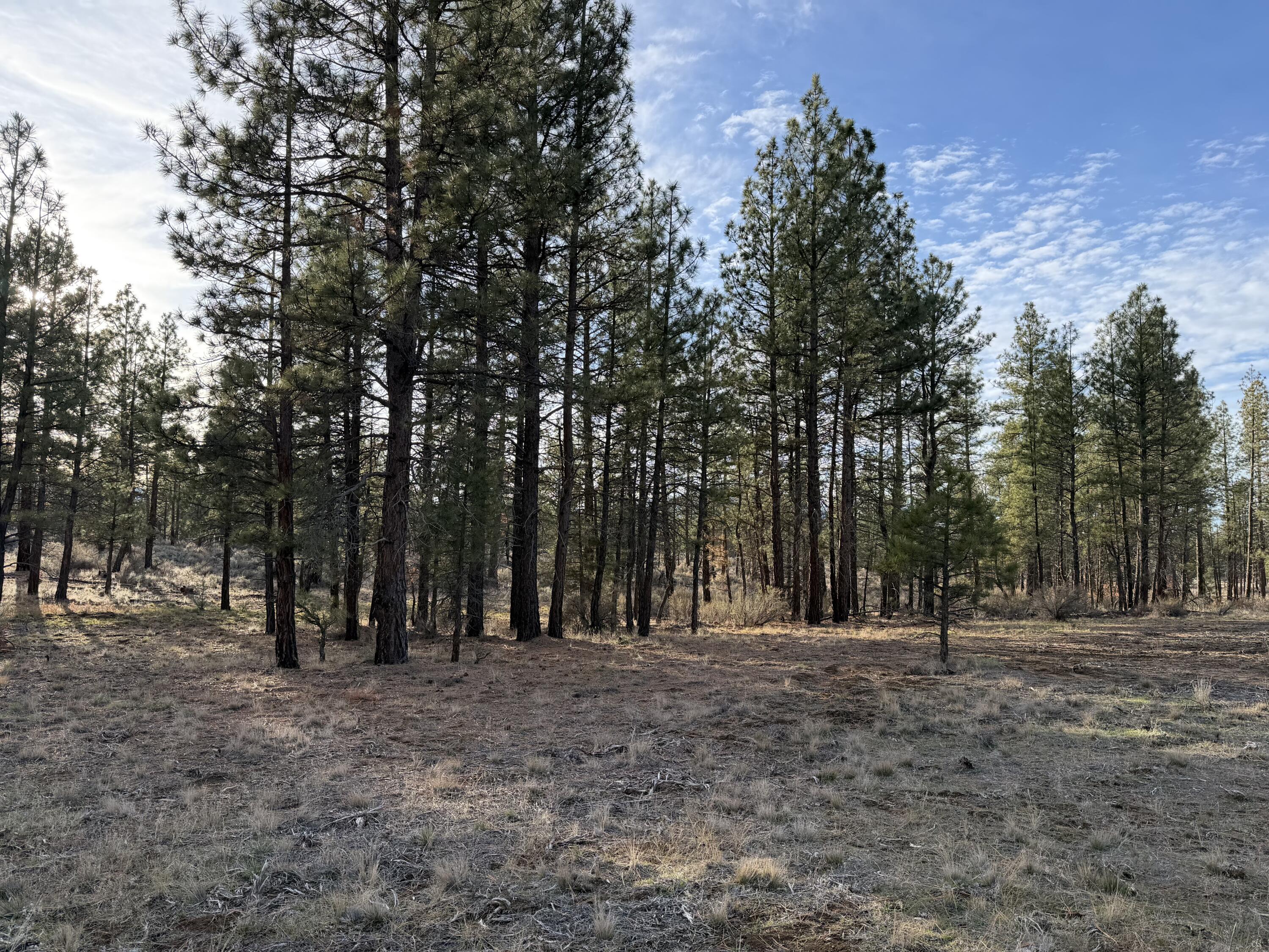 Klamath Forest Estates -First Addition - Land