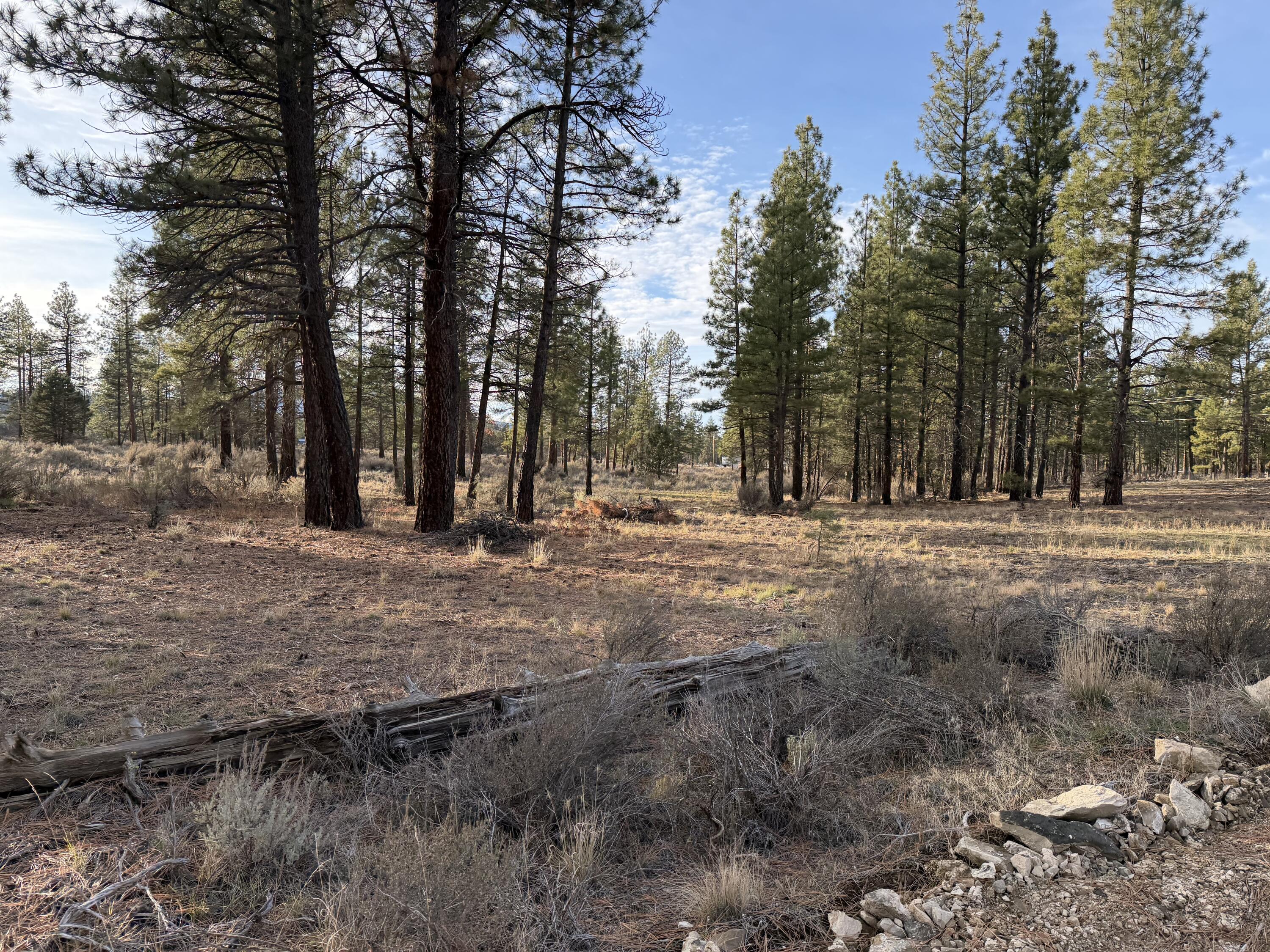 Klamath Forest Estates -First Addition - Land