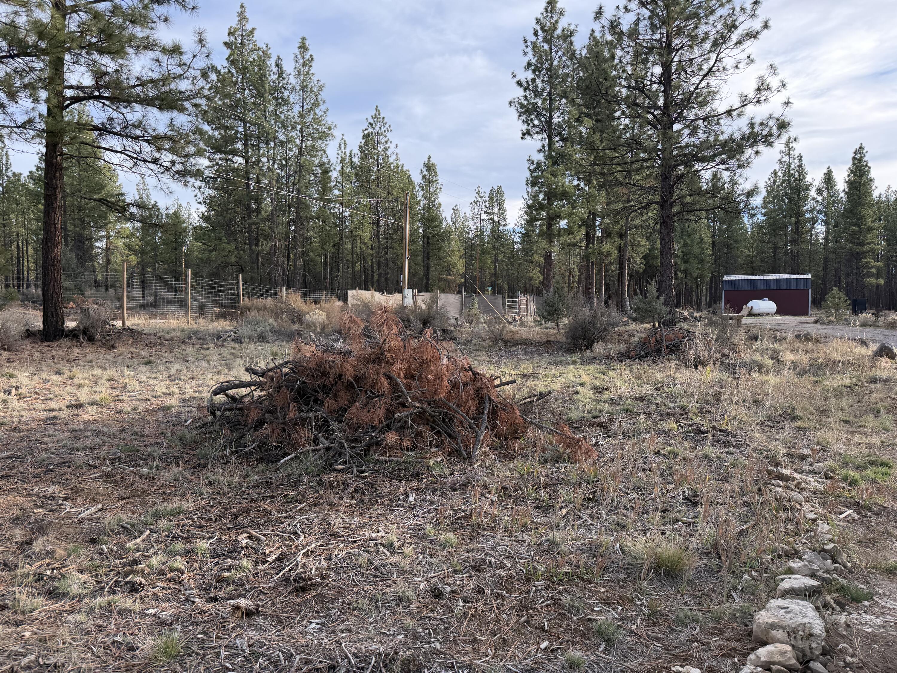 Klamath Forest Estates -First Addition - Land