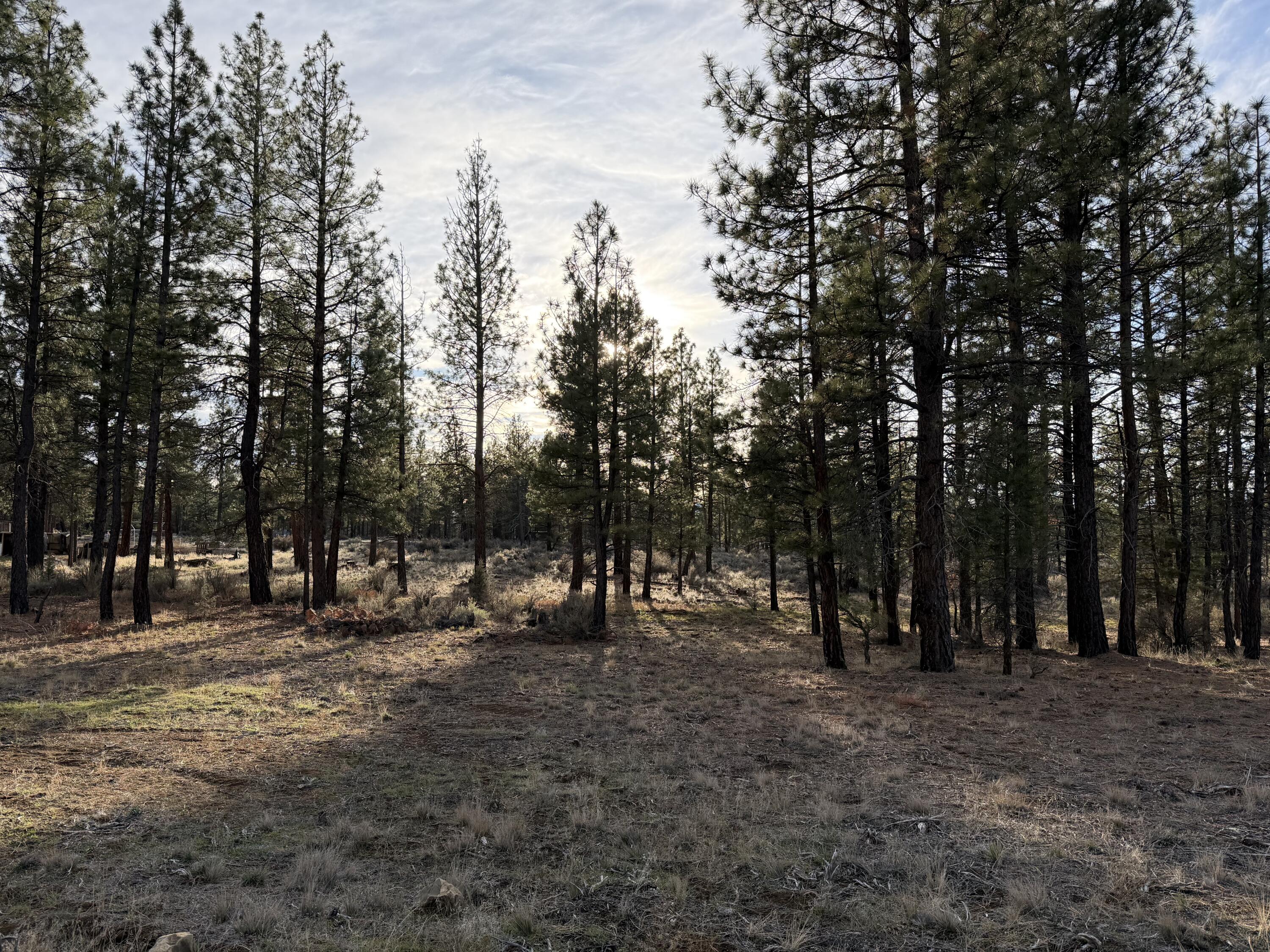 Klamath Forest Estates -First Addition - Land
