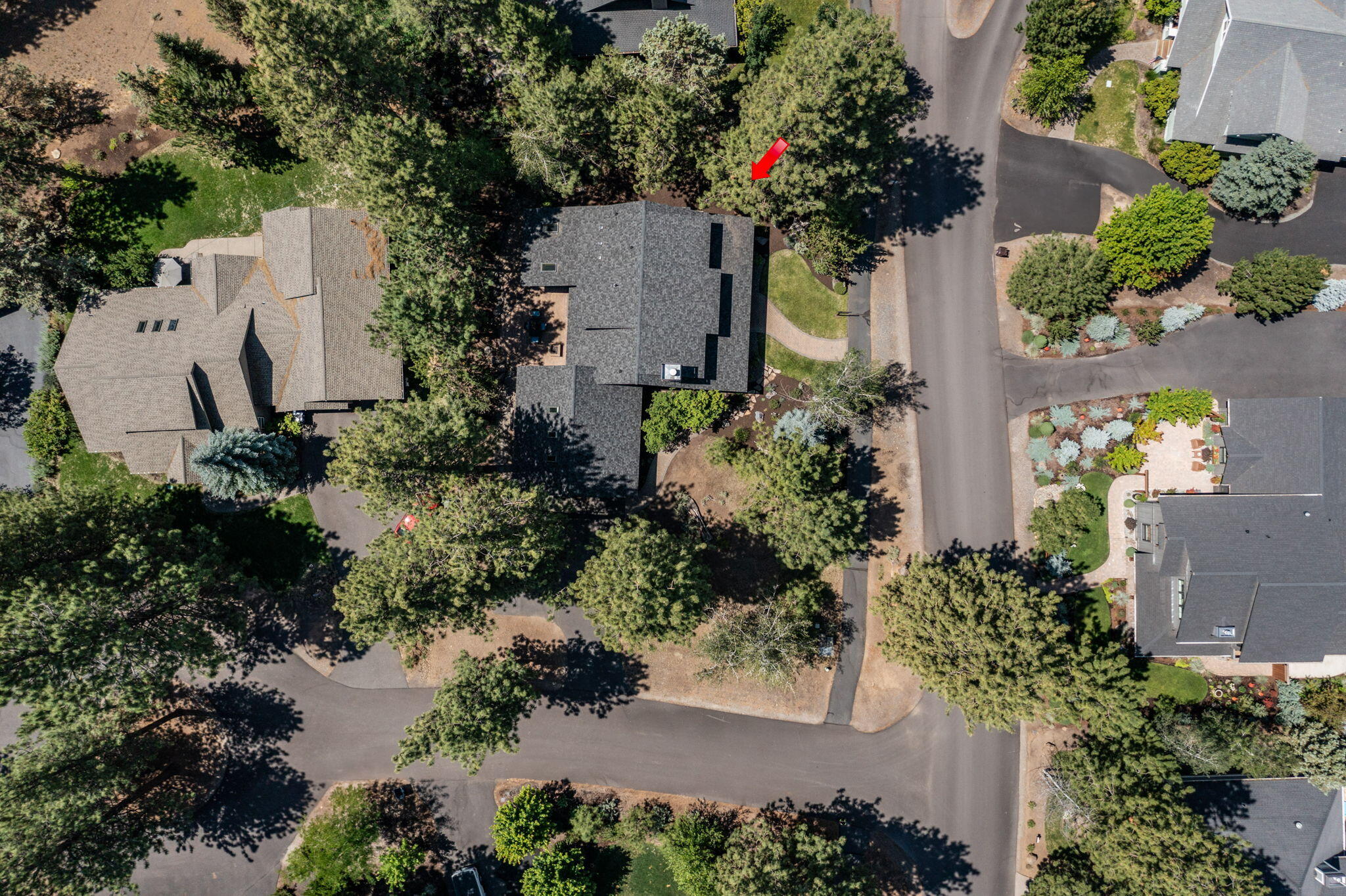 Coyote Springs - Residential