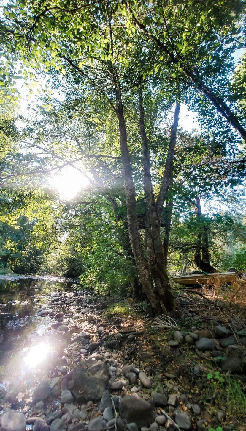 Beautiful piece of property about 9.5-miles up Elk Creek Road. Mature older growth trees, gated entry and more. Wonderful creek running through the property is tranquil and serene. You will not find a more affordable paradise with so many opportunities. Tons of wildlife and much, much more!