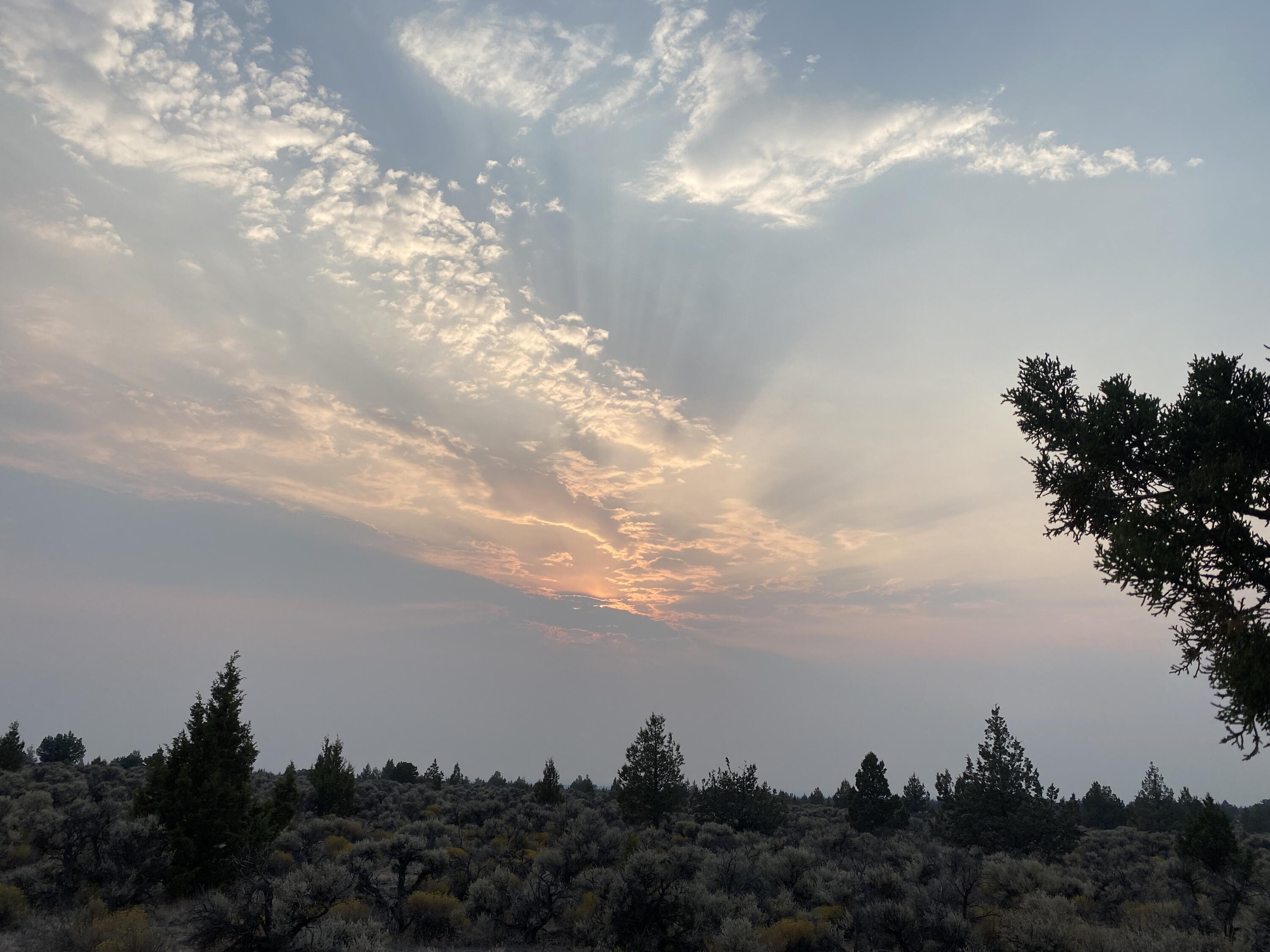 Juniper Acres - Land