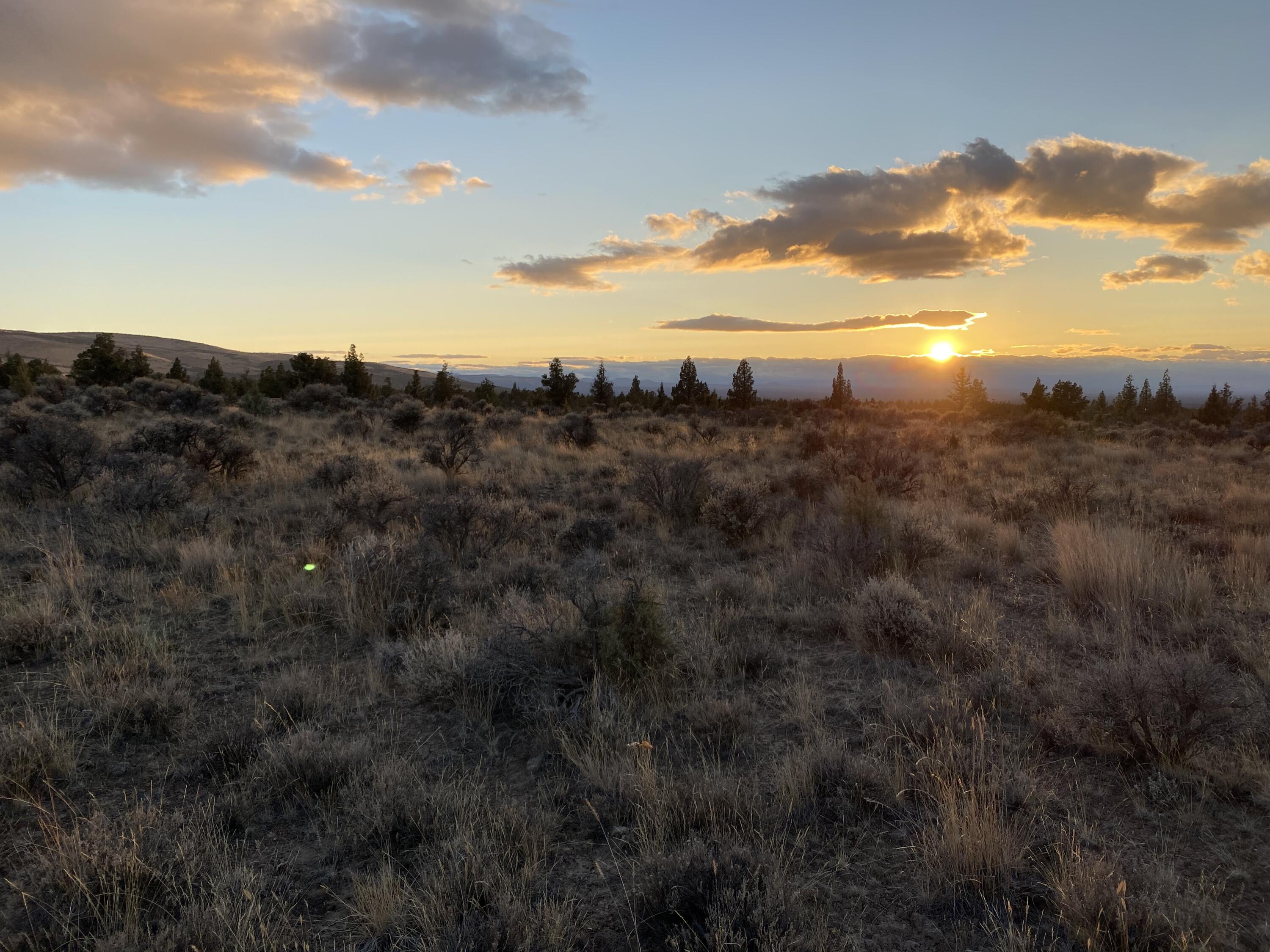 Juniper Acres - Land