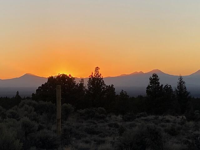 Juniper Acres - Land