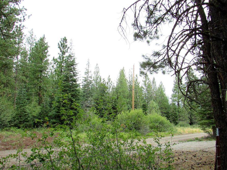 Klamath Forest Estates - Land