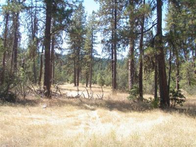 160 acres with home site potential. This Southern Oregon Property is surrounded by BLM on 3.5 sides with excellent deer and elk hunting. Parcel is gently sloped with a seasonal creek and year round access. If you like to hike, hunt, fish or just enjoy the great outdoors, this property will put you close to it all.