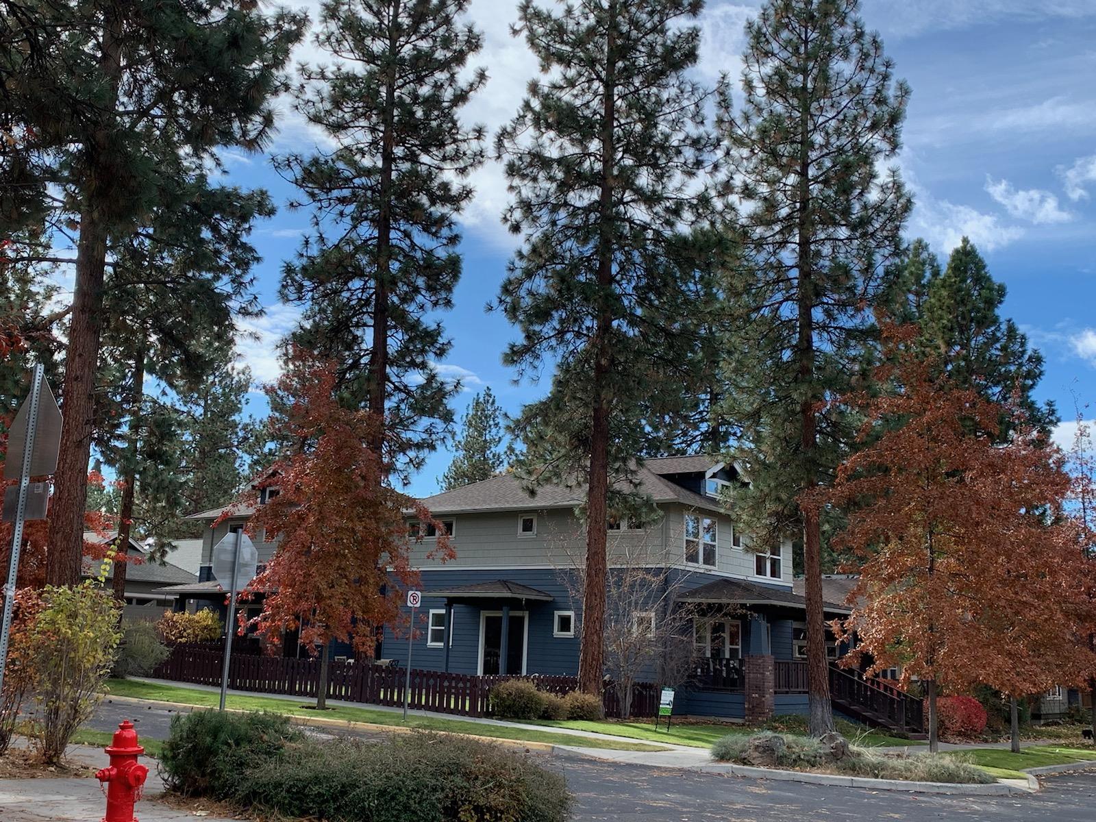 Single family home with Attached ADU.   Corner lot located across the street from park.  Main house comprised of office on man level with 3 bedrooms and 2 full baths upstairs.  ADU has its own separate entrance but can also accessed through main house.