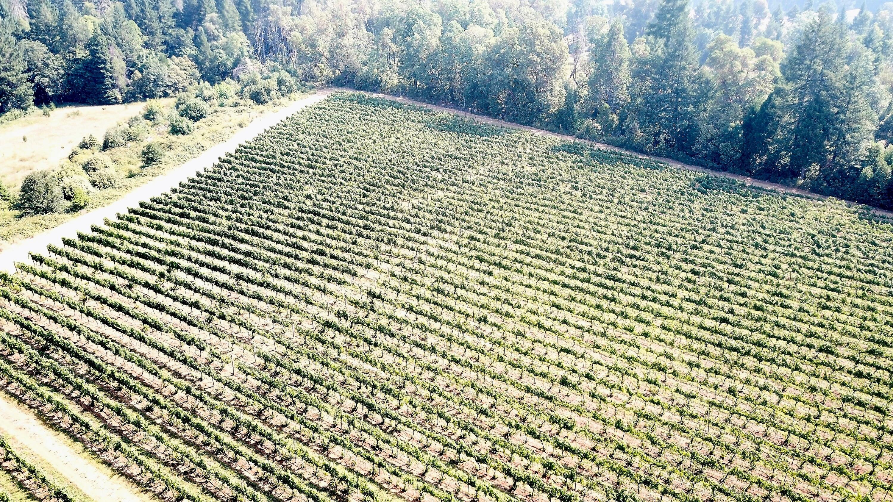 N/A - Farm