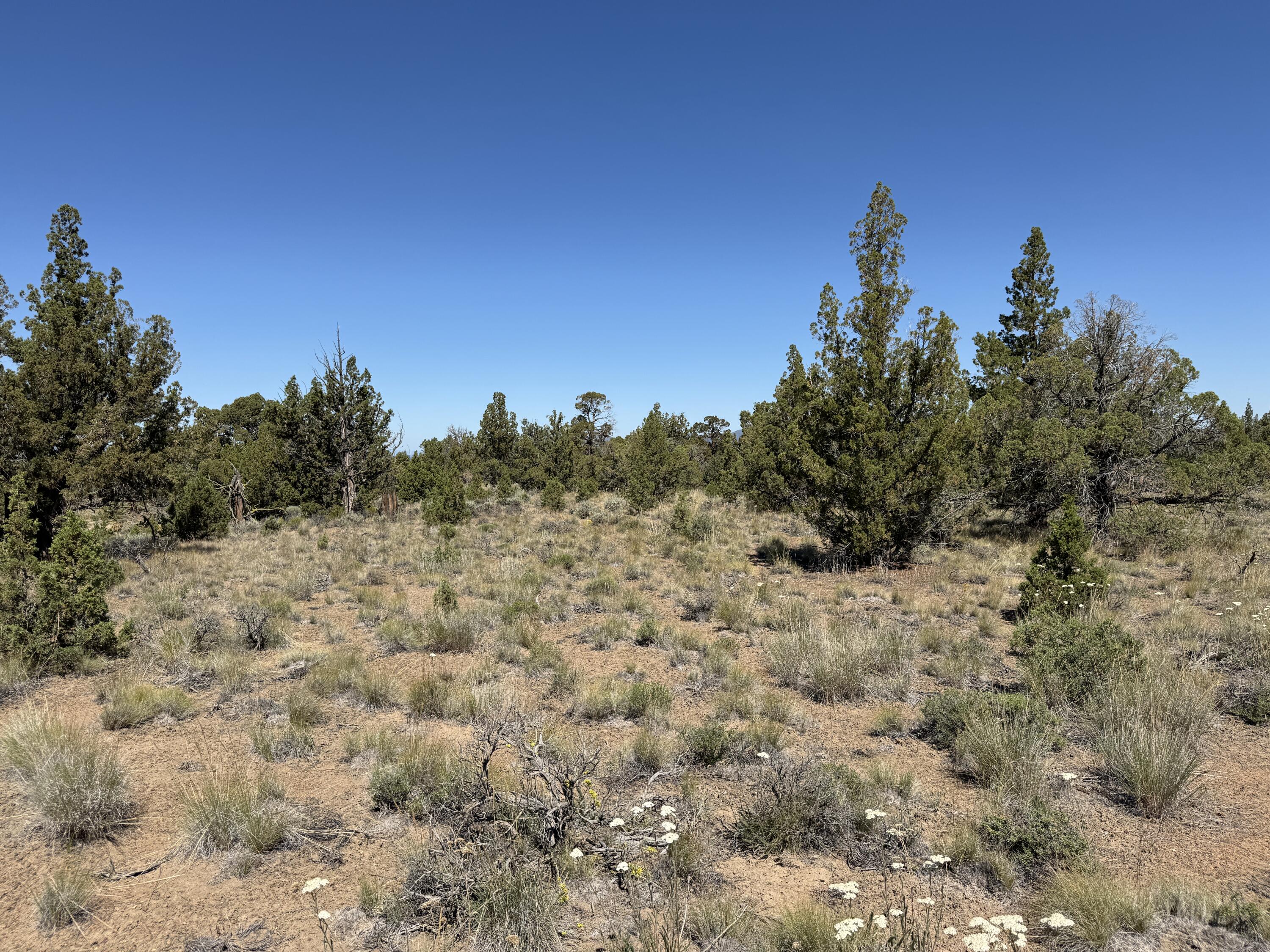 Juniper Acres - Land