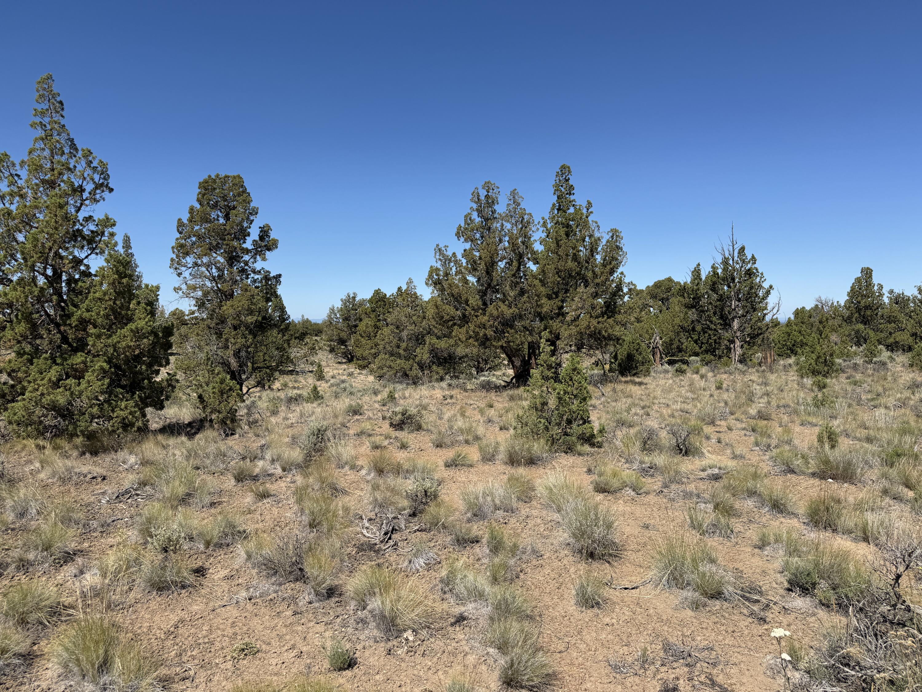 Juniper Acres - Land