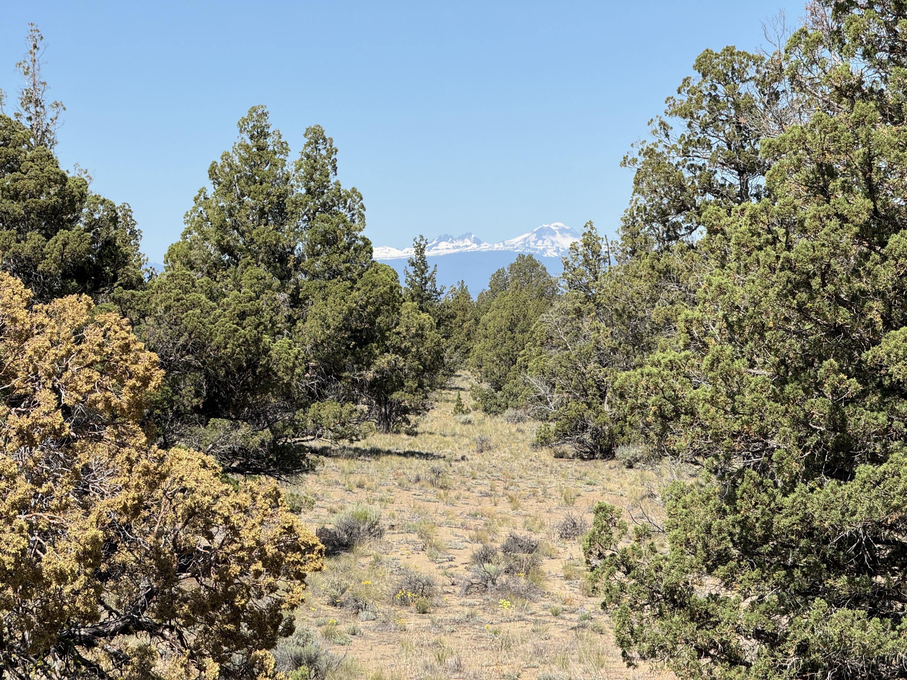 Looking for your own slice of high desert freedom? This flat 10-acre corner lot is the ultimate recreational getaway—just a short drive from Bend and minutes from the scenic Prineville Reservoir. Camp under the stars, rip around on your dirt bike, or spend lazy days by the lake—it's all possible here. Towering ancient junipers and mountain views frame the property, giving it that classic Central Oregon vibe. Create your own off-grid retreat or Hipcamp-style escape to share with fellow adventurers. With wide-open space, easy access, and that rugged ''middle of nowhere'' feel (without actually being in the middle of nowhere), the potential is endless. Whether you're bringing a tent, an RV, or a long-term vision—this property is ready to play. Buyer to do their own due diligence regarding intended use, utilities, and permitting requirements.