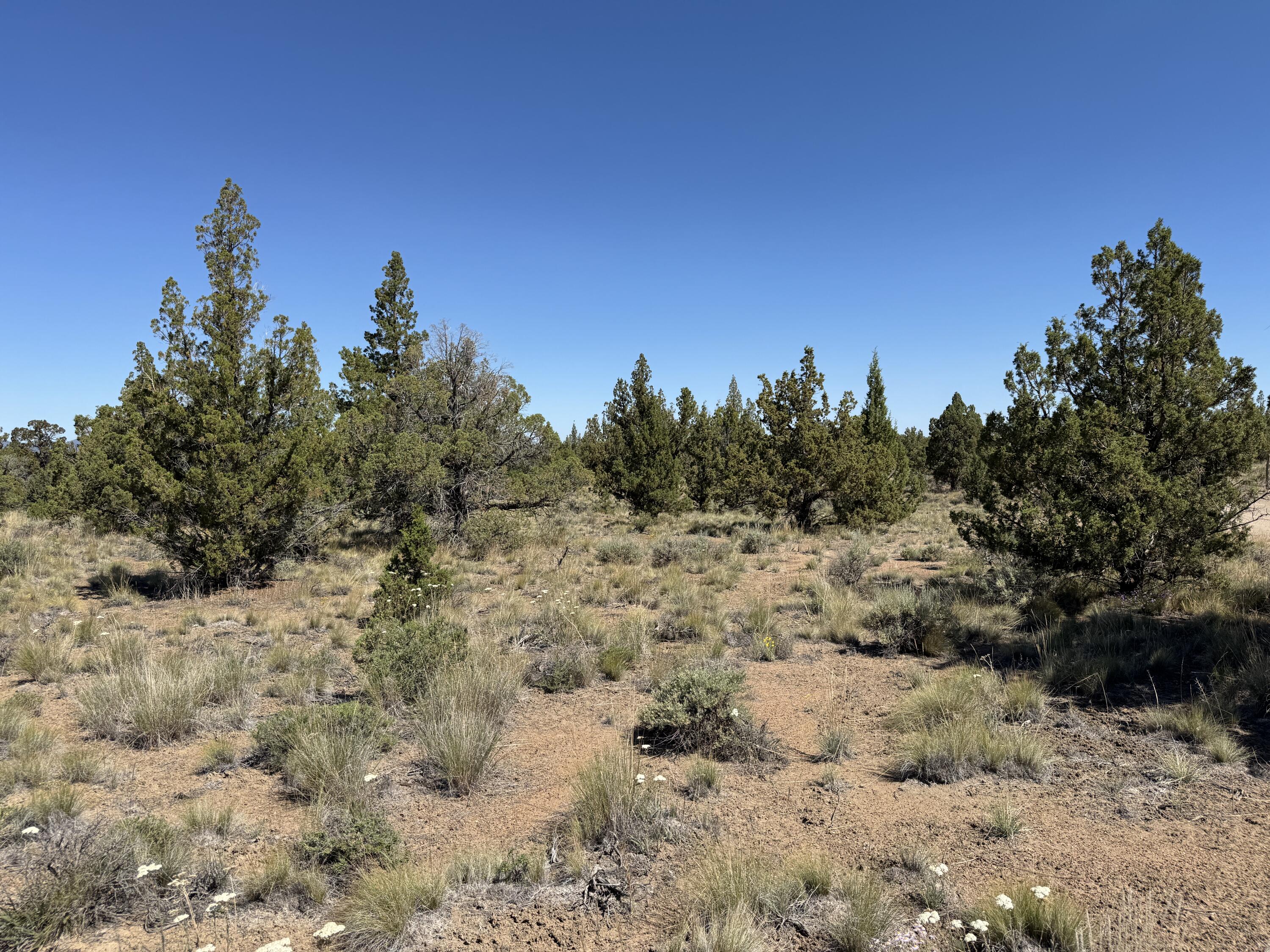 Juniper Acres - Land