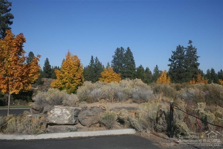This property consists of 2 separate tax lots being sold together. 1050 SW Yates Dr is 0.83 acres and 1082 SW Yates Dr is 1.94 acres, for a total of 2.77 acres. Zoned CL allows for many uses. Great Westside location. Taxes are both lots combined for 2013.