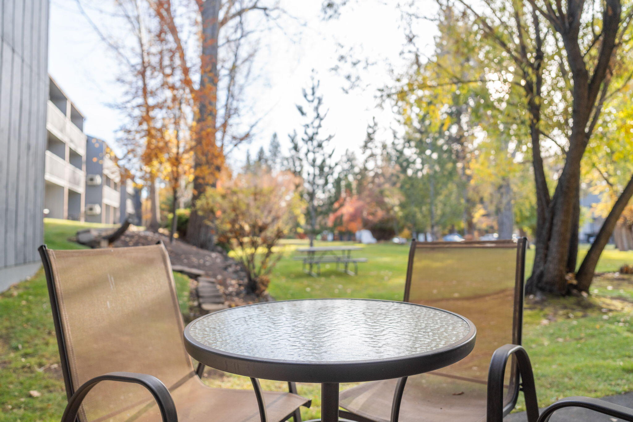Pioneer Park Condominium - Residential