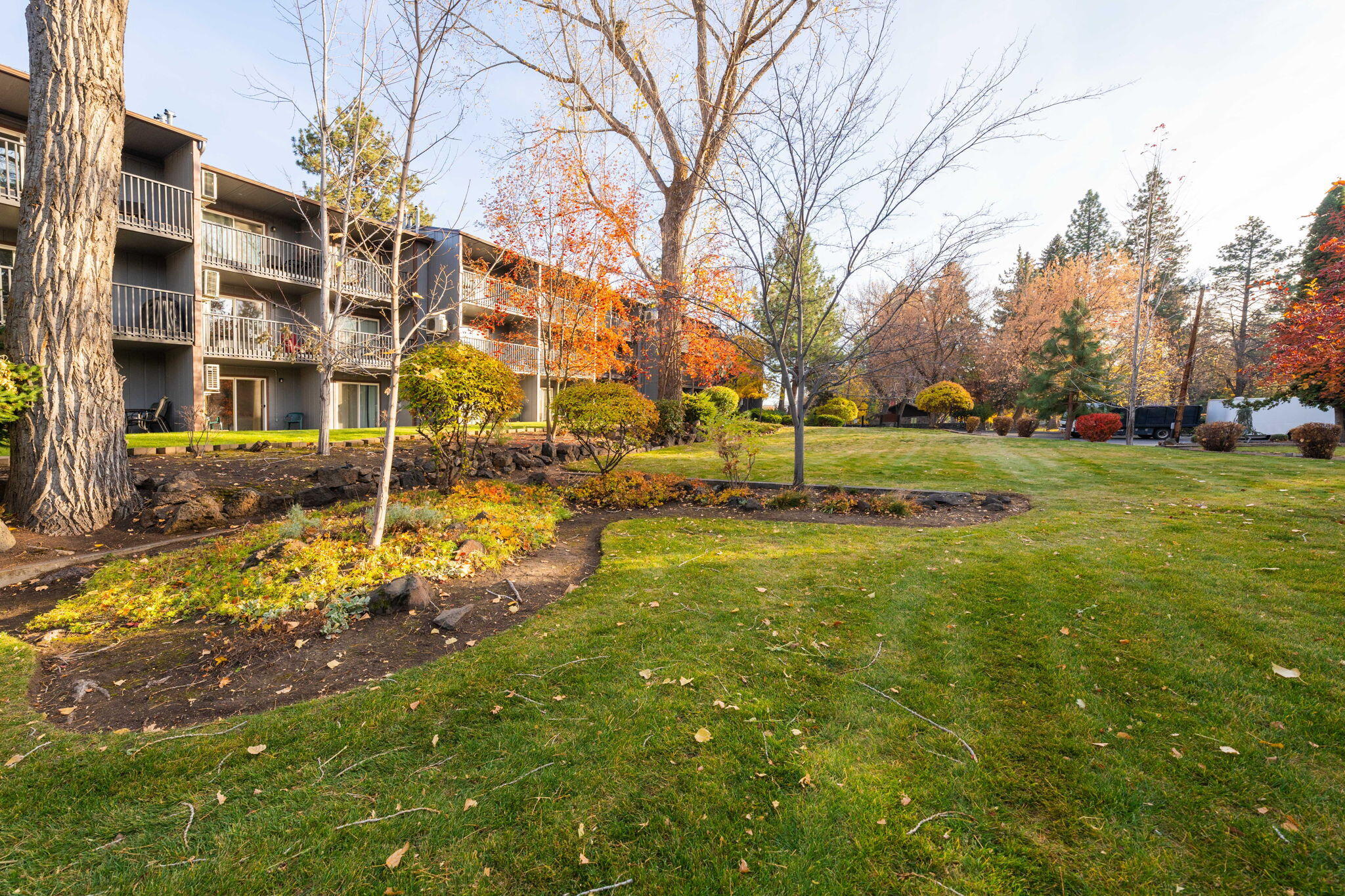 Pioneer Park Condominium - Residential