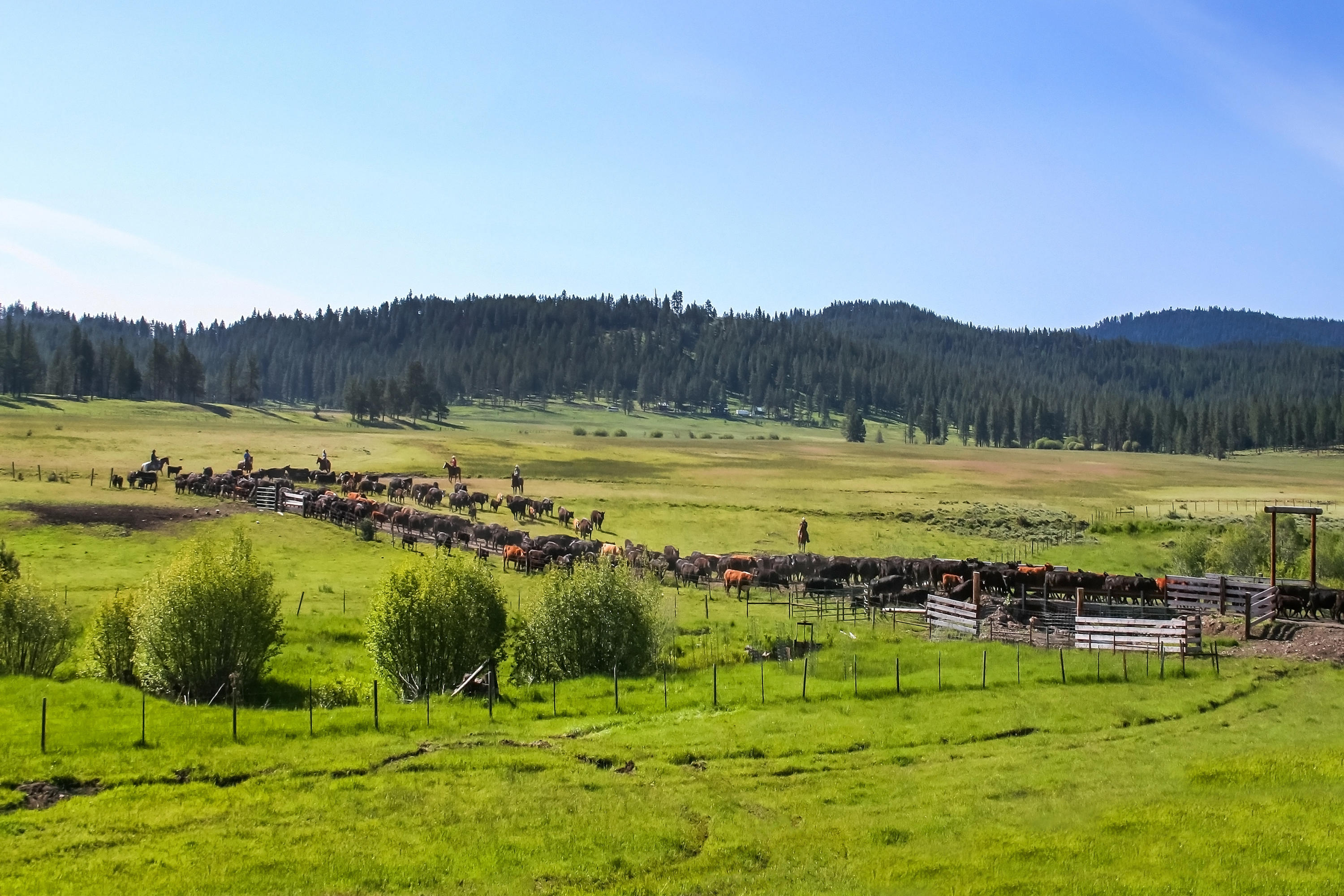N/A - Farm