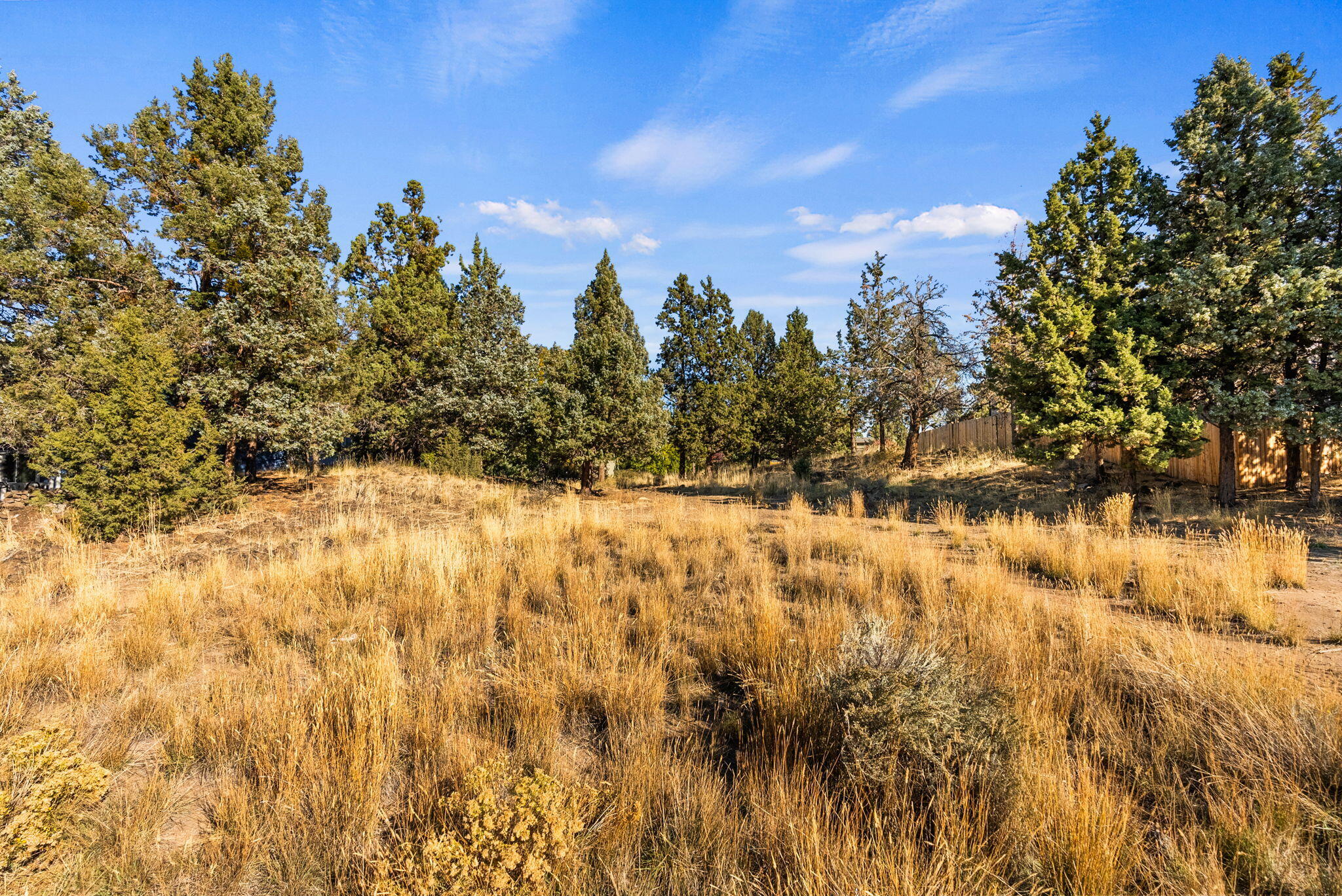 Holliday Park - Land