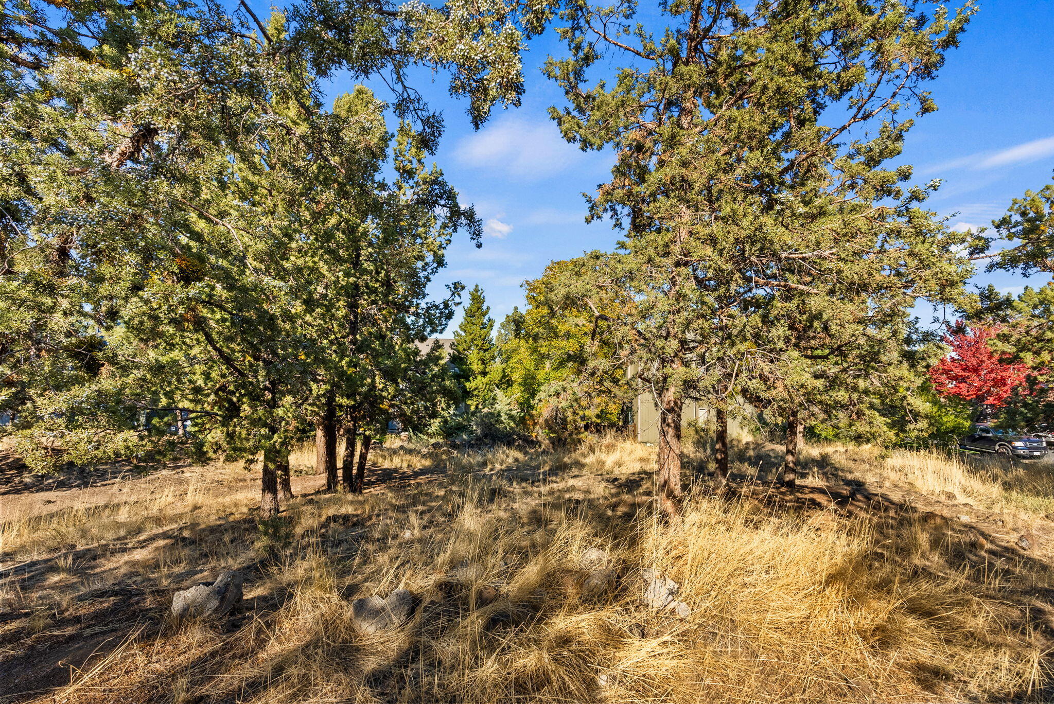 Holliday Park - Land