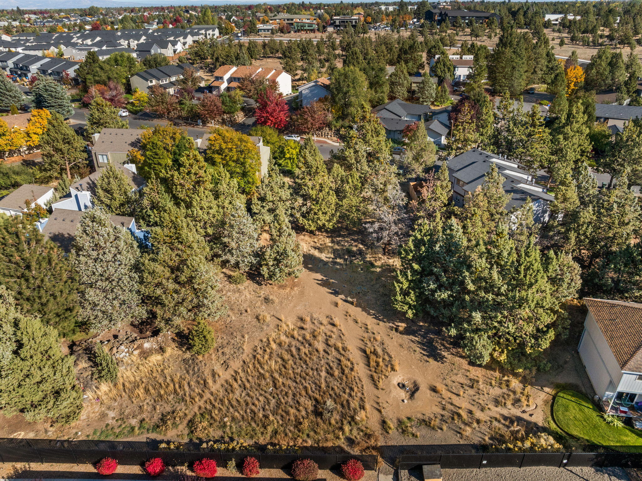 Holliday Park - Land