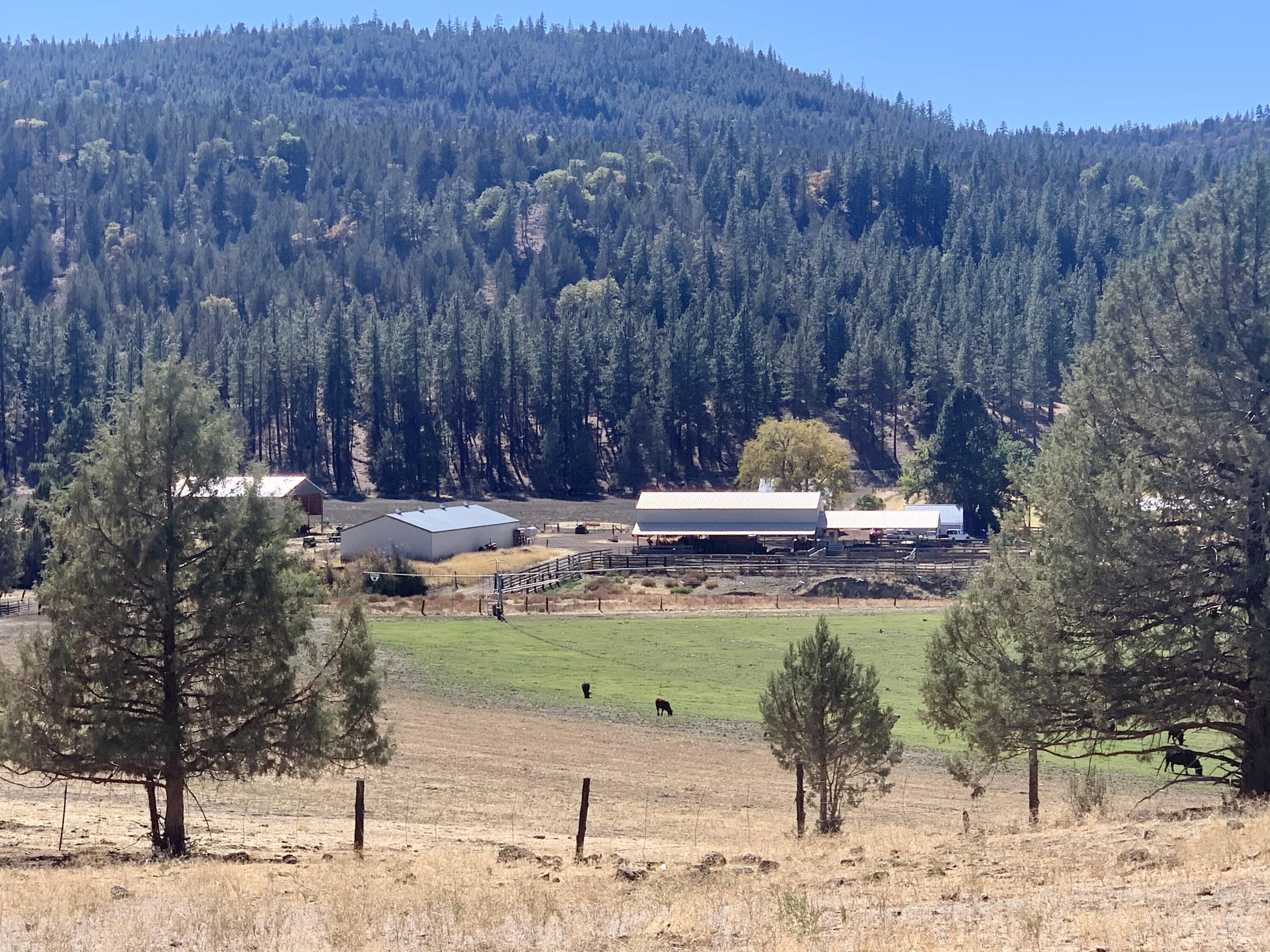N/A - Farm