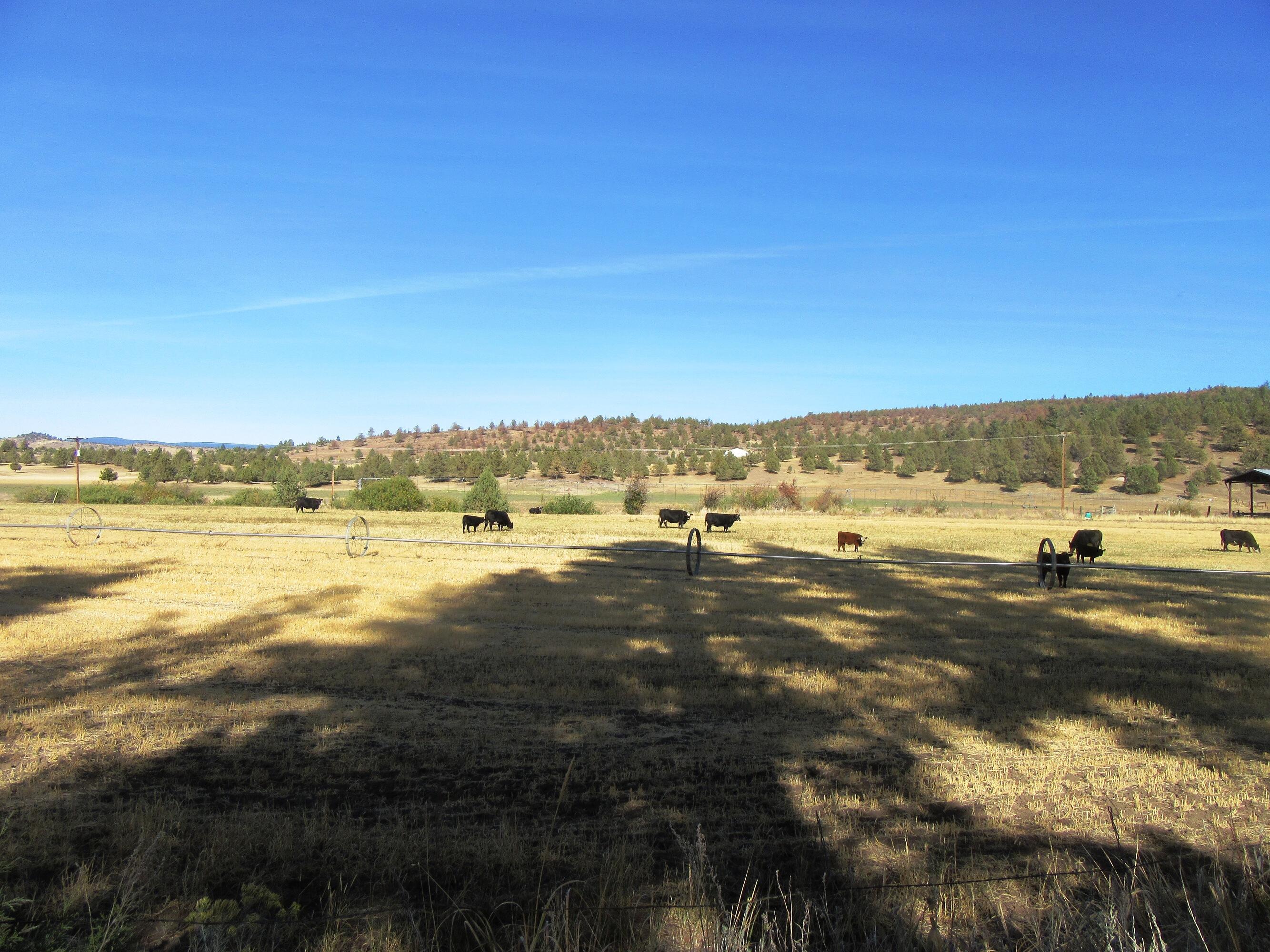 N/A - Farm