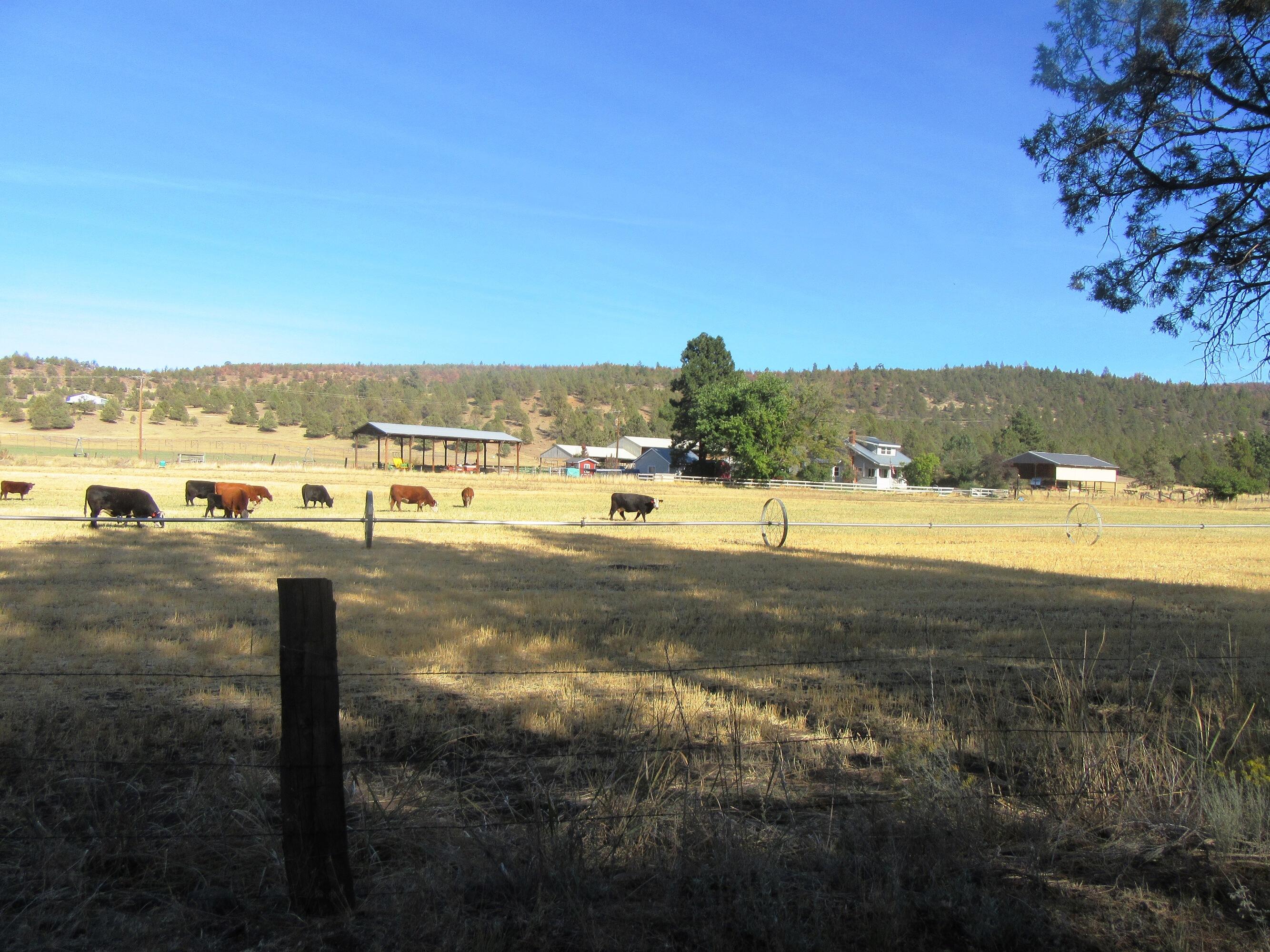 N/A - Farm