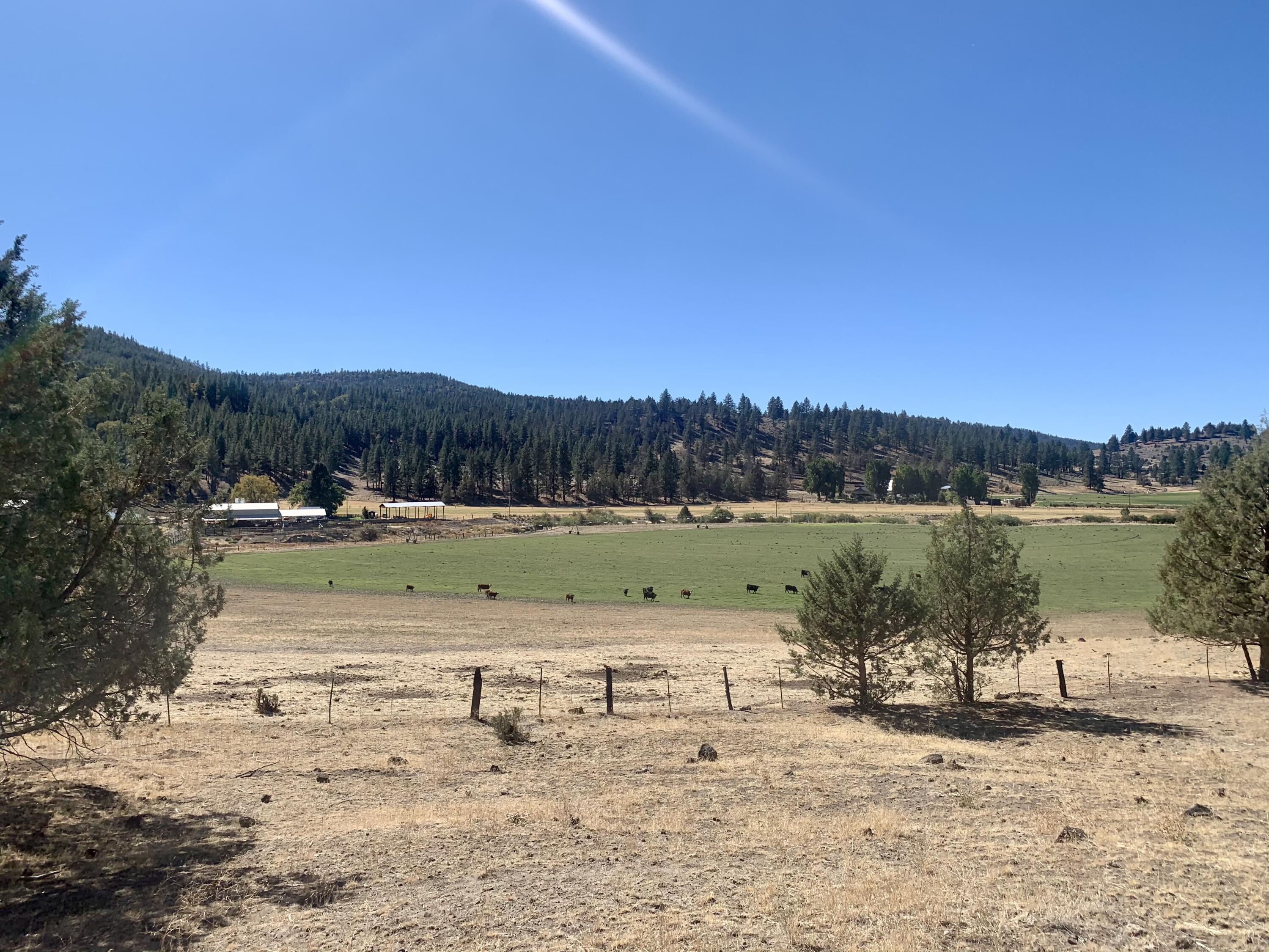 N/A - Farm