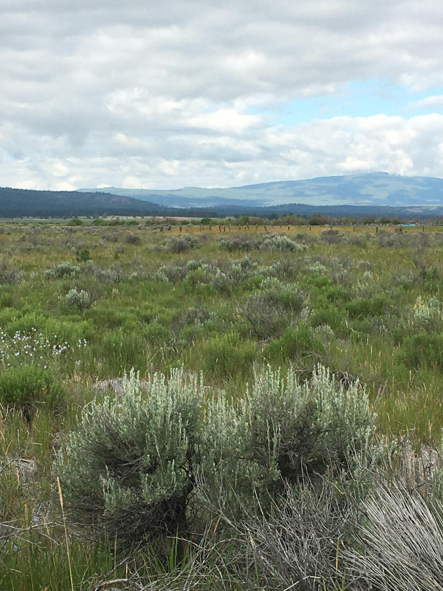 Nimrod River Park - Land