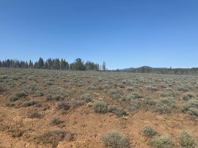 Oregon Pines - Land