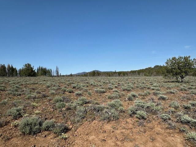 Oregon Pines - Land