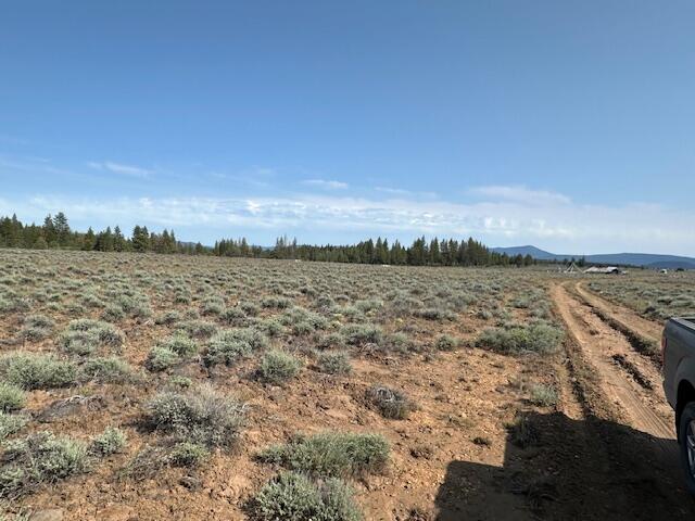 Oregon Pines - Land
