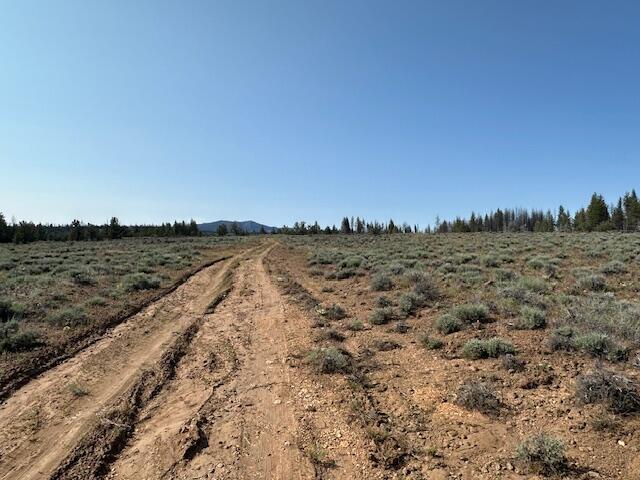 Oregon Pines - Land