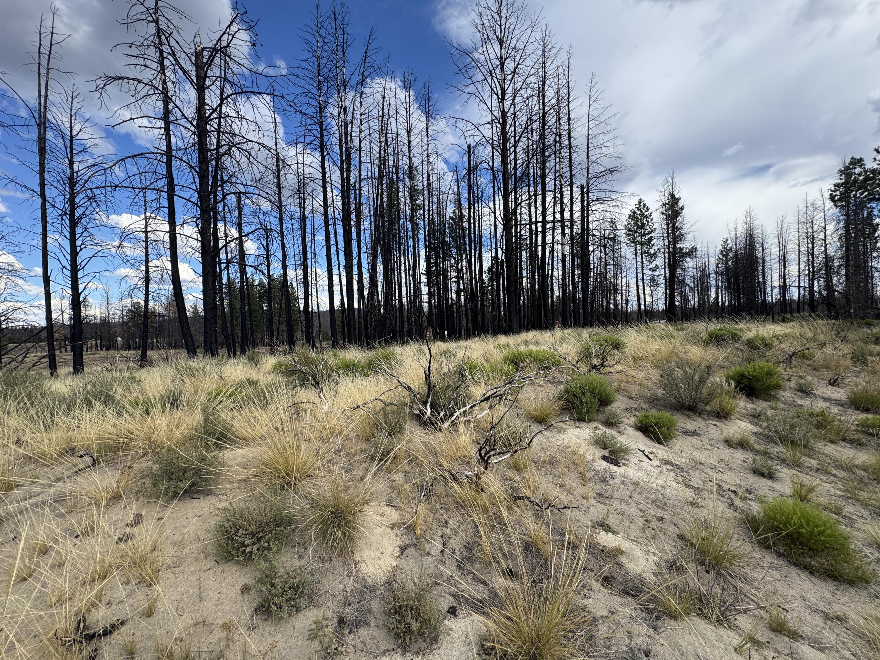 Klamath Falls Forest Estates -Sycan Unit - Land