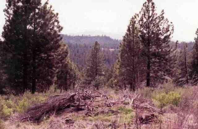 Chiloquin - Land