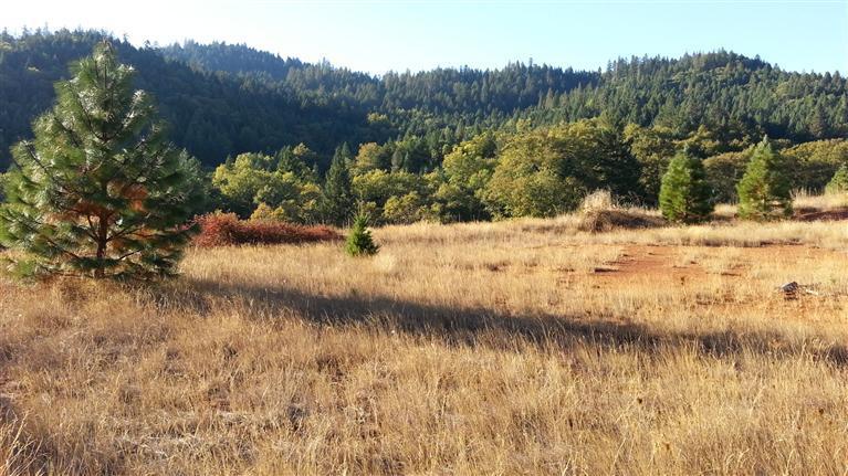 JUST LOWERED $50,000 - Bring your plans! Ten acres of beautiful wooded property with a large home site ready for you to build on. Expansive and beautiful mountain views and seclusion. Enjoy the country surrounding, only 10 minutes from town. Well and septic are installed on property, power and phone at the road. Buyer to do own due diligence on zoning restrictions. Bank owned - must see to appreciate the property. All information deemed accurate but not guaranteed, subject to change at any time.