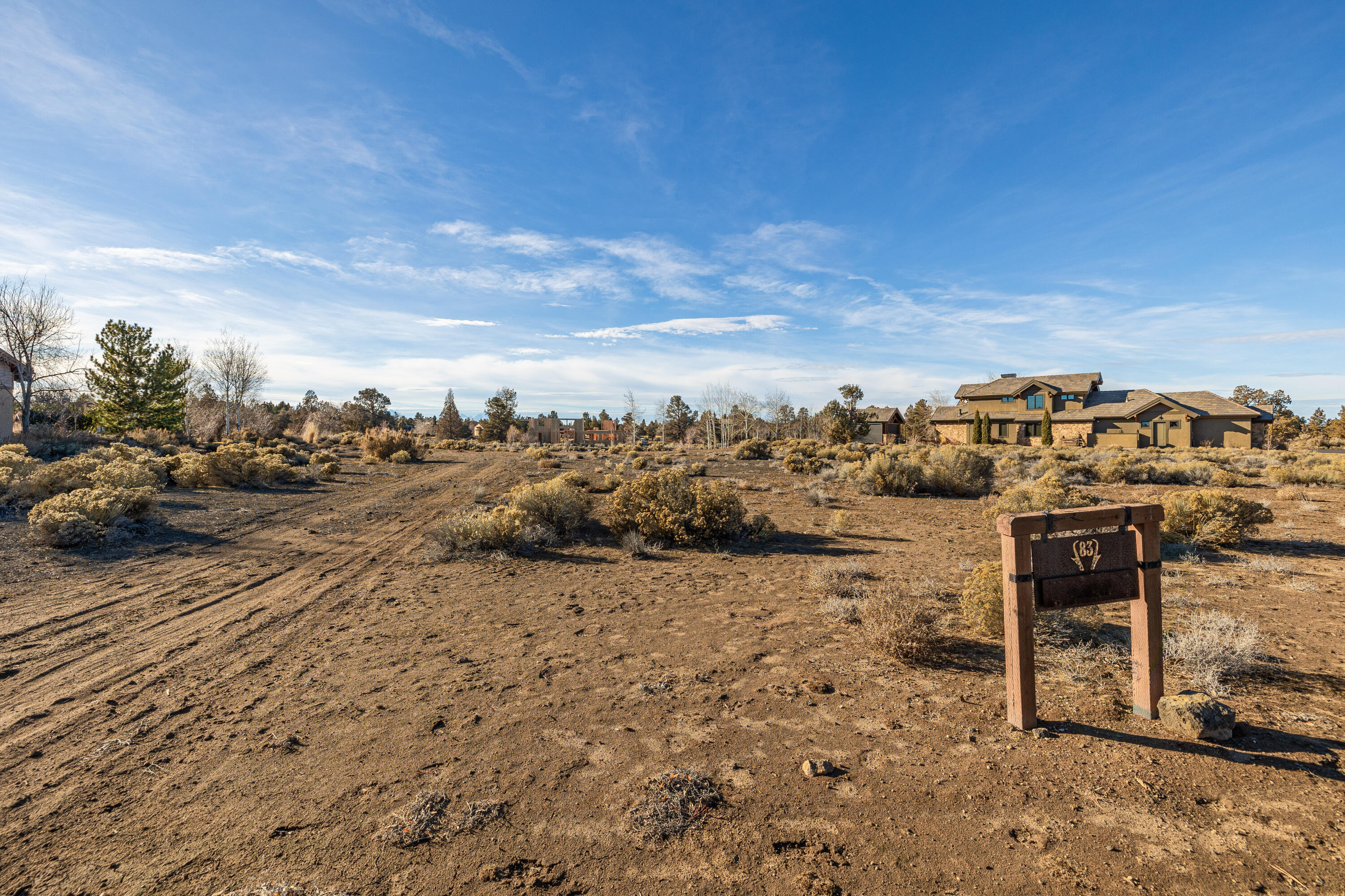 Pronghorn - Land