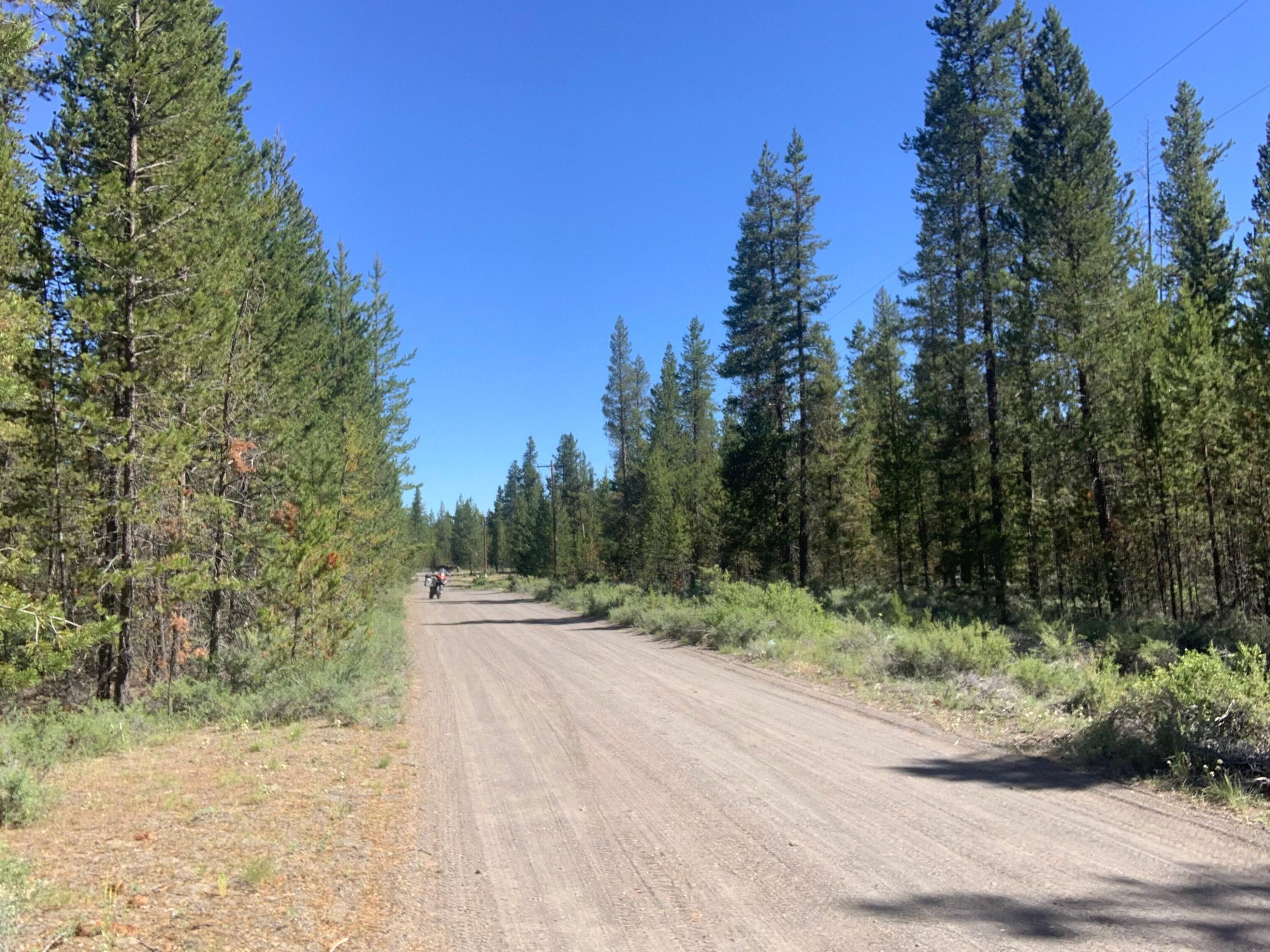 Lots of space to build close to La Pine State Park. Deschutes County Conditional Use Permit is complete ready to build, Septic approval and driveway access permits also complete. Surrounded by larger parcels, very quiet with lots of mature trees, dead end street very private. Adjacent lot also for sale. Directions: 97
South to State Rec Rd, Left on 5th, Left on Hawk's Lair, Left on Woodchuck.  Owner is a licensed broker in the state of Oregon.